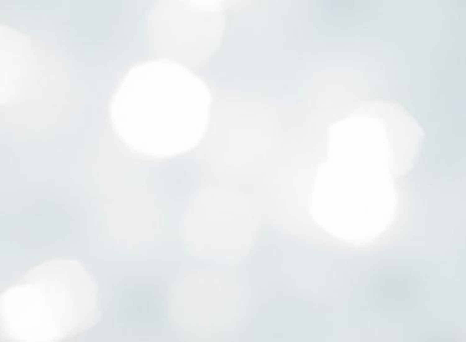 Small Business Web Design