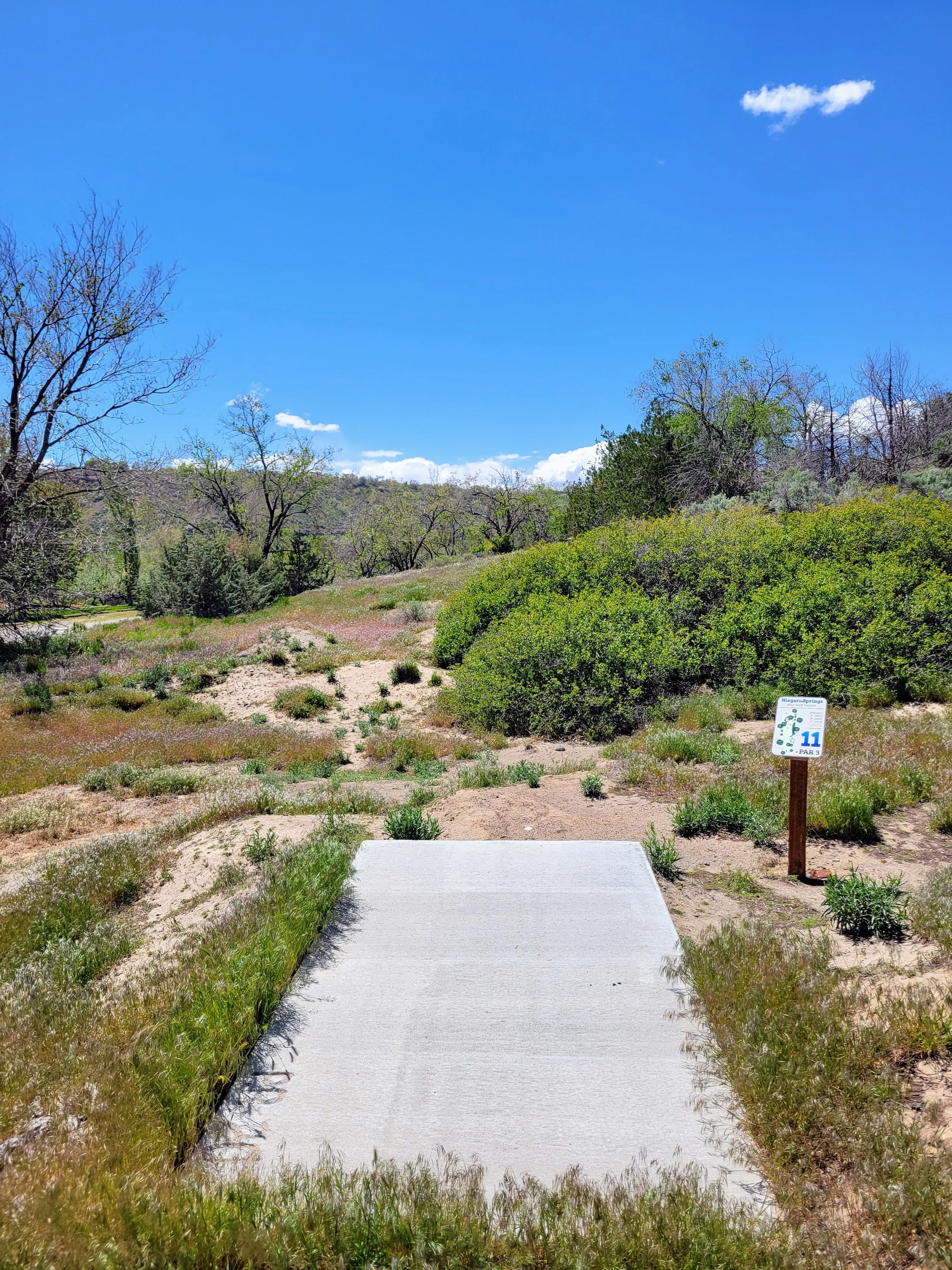 A pathway leads to a small golf tee box on a grassy course with a sign indicating it is hole 11, a par 3, on a sunny day with a blue sky and sparse clouds, surrounded by trees and shrubbery.