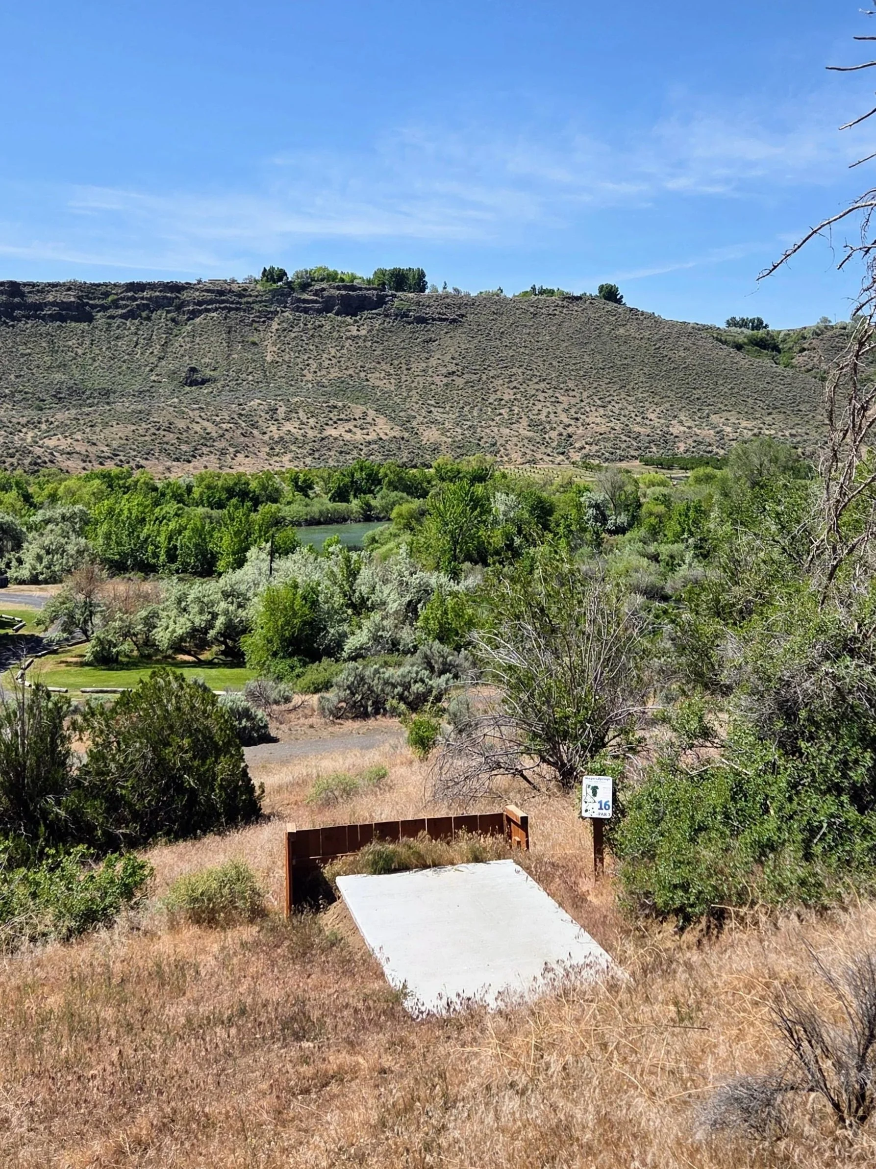 Landscape scene with dry grass in the foreground, green trees, a river, a hill with sparse vegetation, tall trees in the distance, a bright blue sky, and a dead tree with no leaves on the right side.