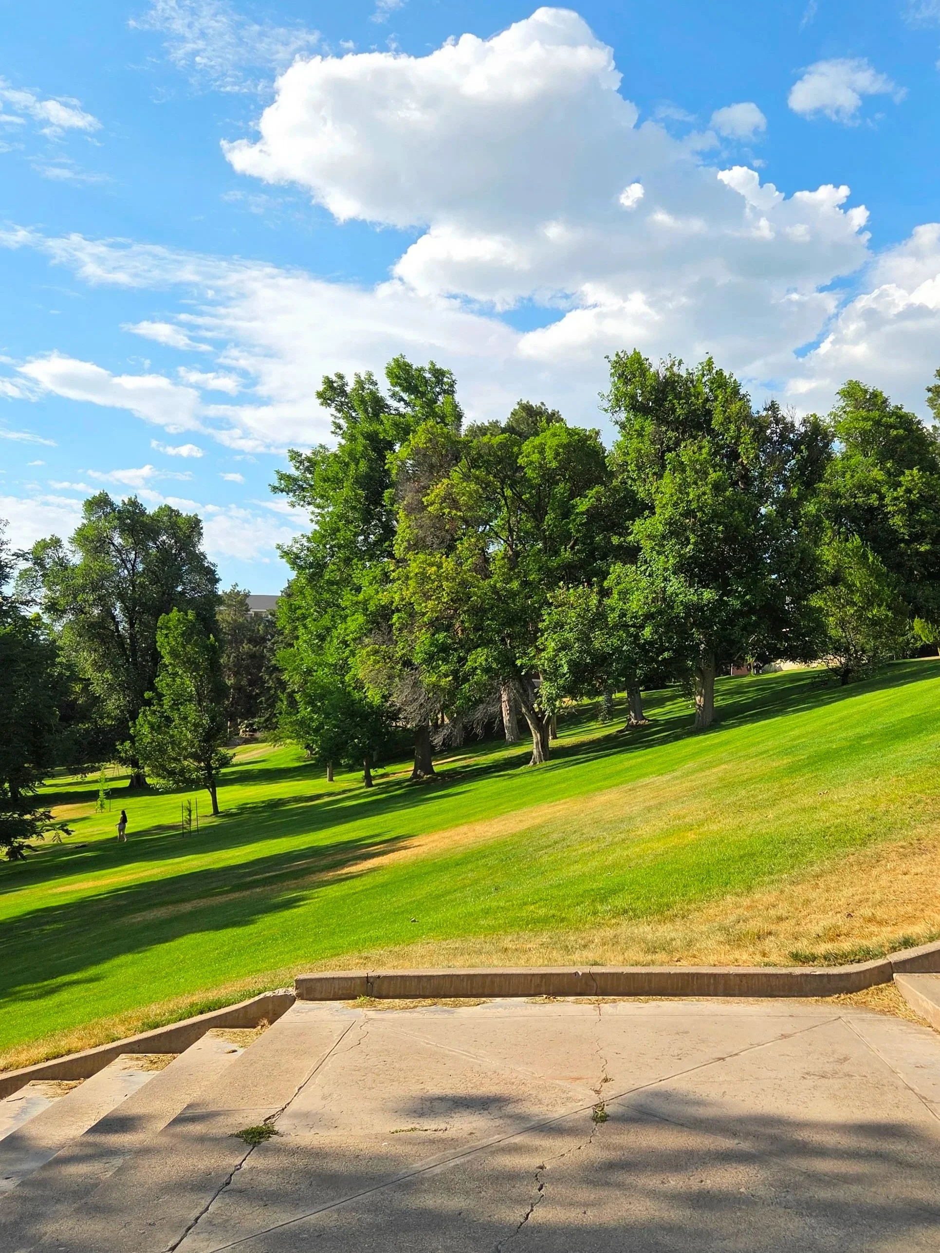 Teepad on old main hill