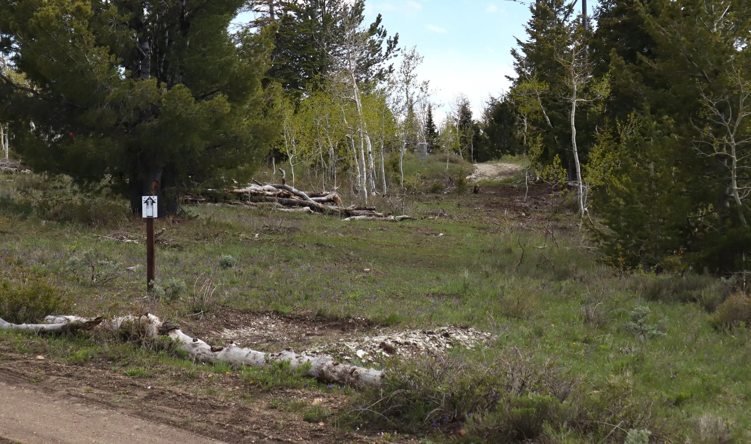 timberlane hole 1 - 1.JPG