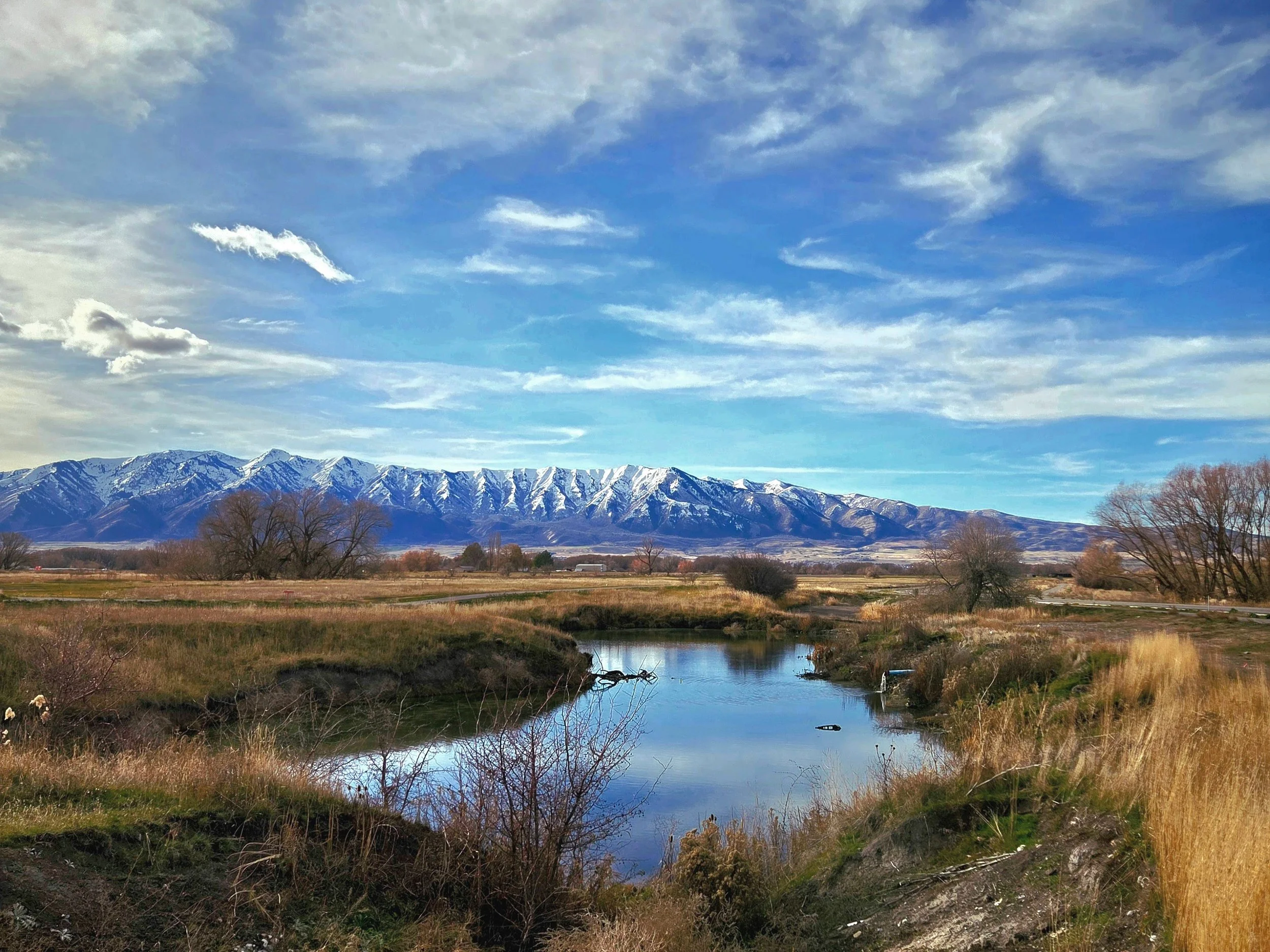 Scenic landscape with a river flowing through tall grasses, leafless trees, snow-capped mountains in the background, and a partly cloudy sky. Infinite Discs disc golf course.