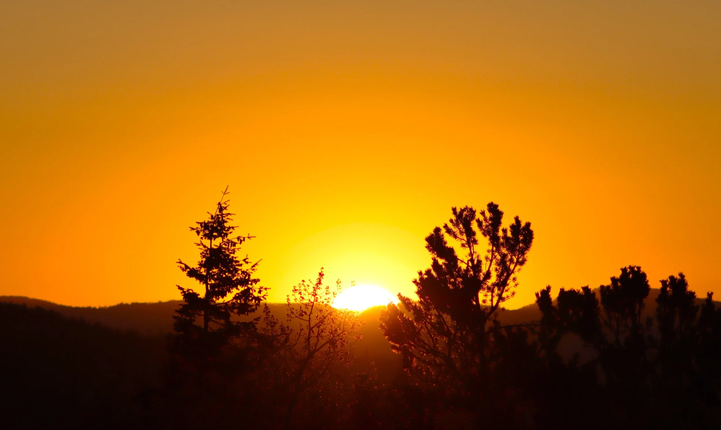timberlane sunset 1.JPG
