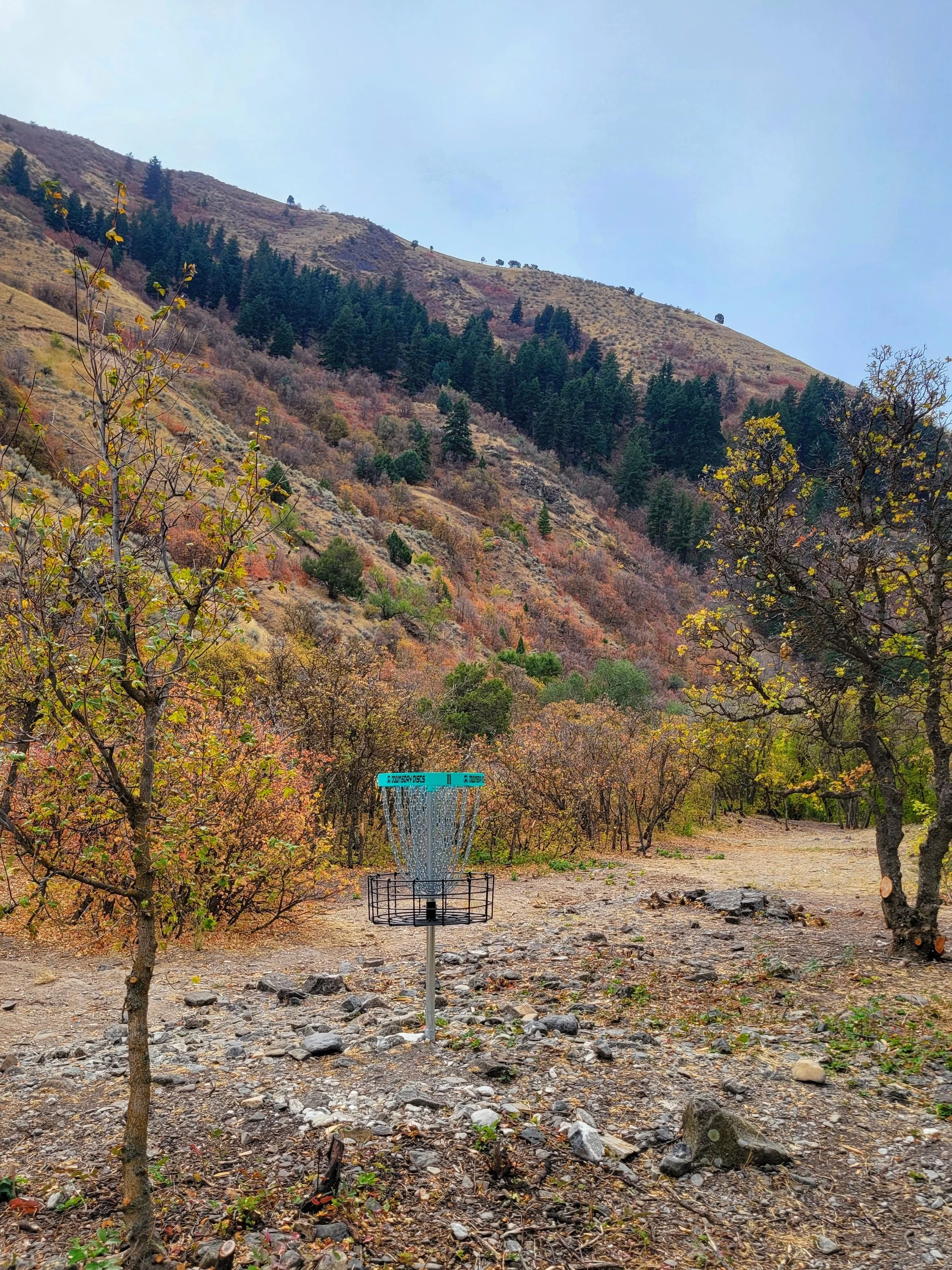 A disc golf basket placed in a rugged outdoor setting with trees and mountains in the background, autumn leaves on the ground and overhanging branches.