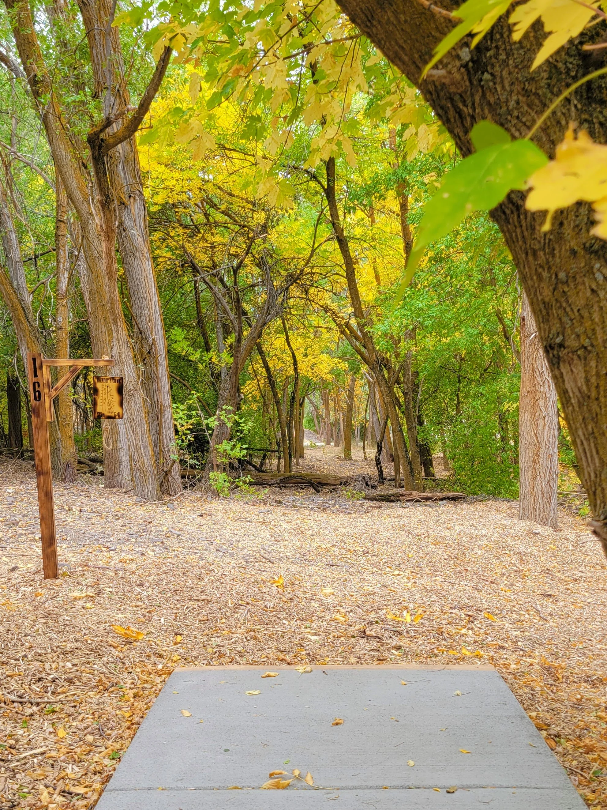 A disc golf tee pad on a gravel path surrounded by trees with yellow and green leaves, with a sign indicating hole number 16.