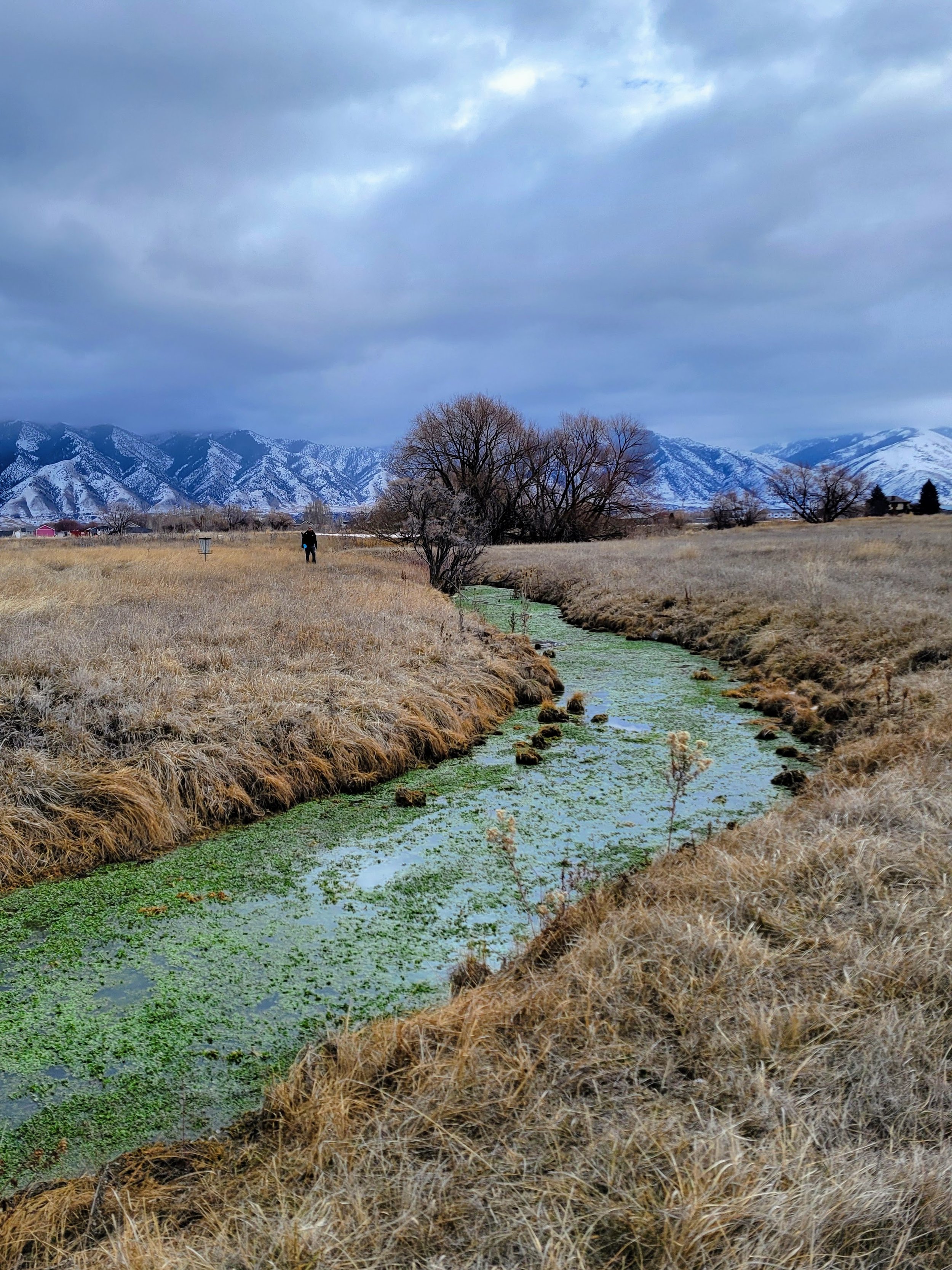 20250111_113010-EDIT.jpg