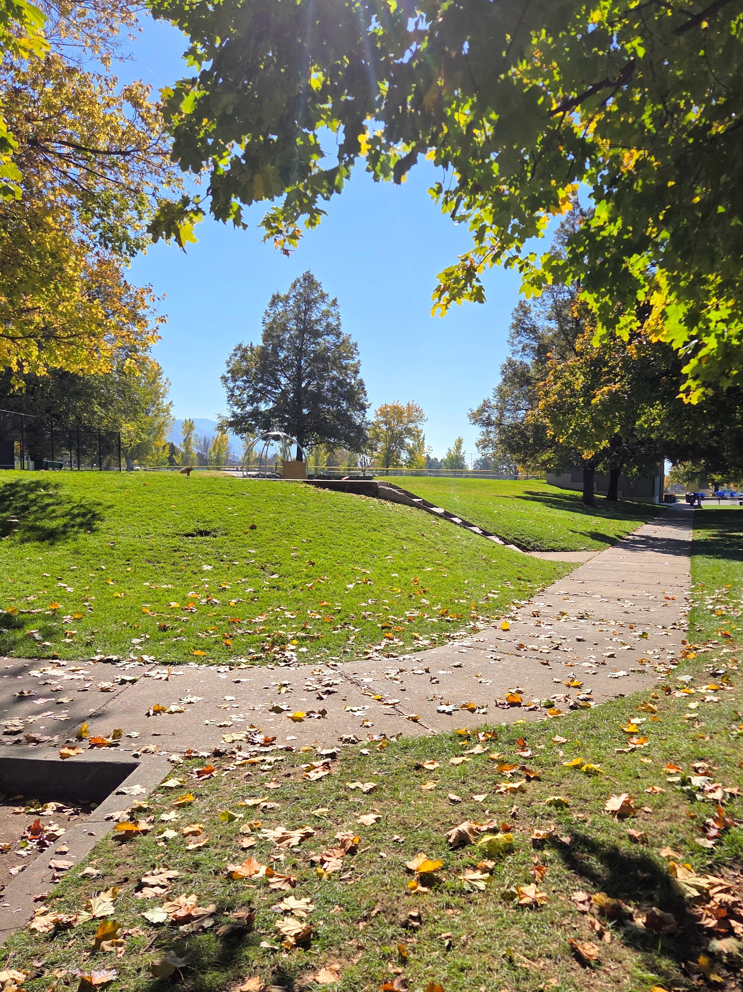 20251023_125216-EDIT.jpg