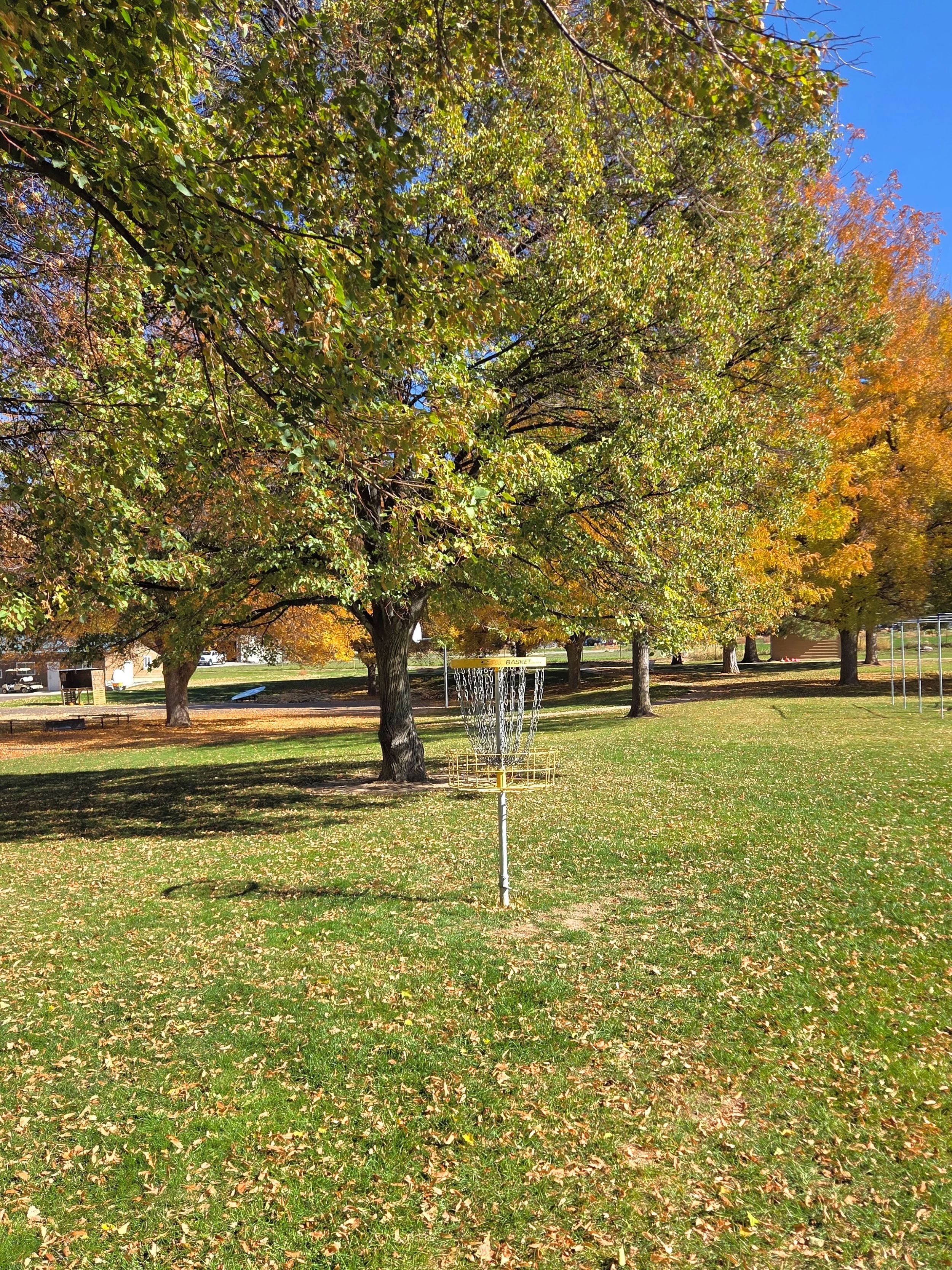 A park with a disc golf basket in the center, surrounded by trees with green, orange, and yellow leaves on a sunny day.