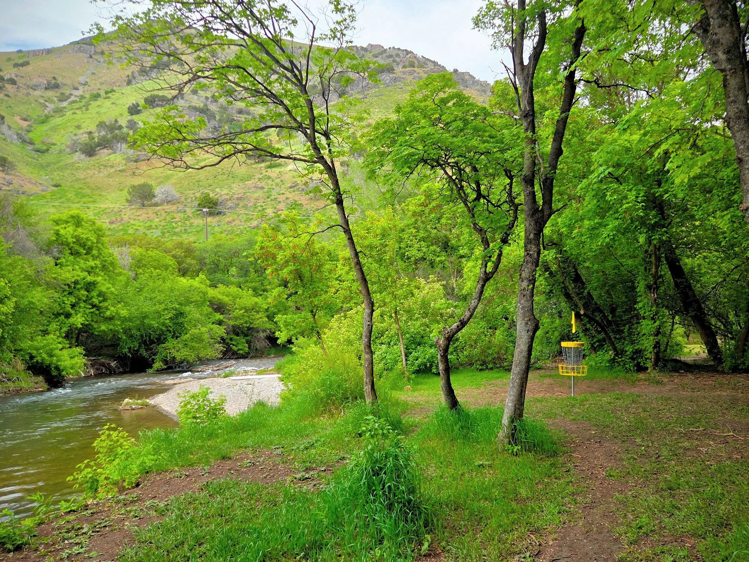 A lush, green riverside landscape with trees, a flowing river, and mountains in the background. There is a disc golf basket in the grassy area to the right. Bandit's Cove disc golf course.