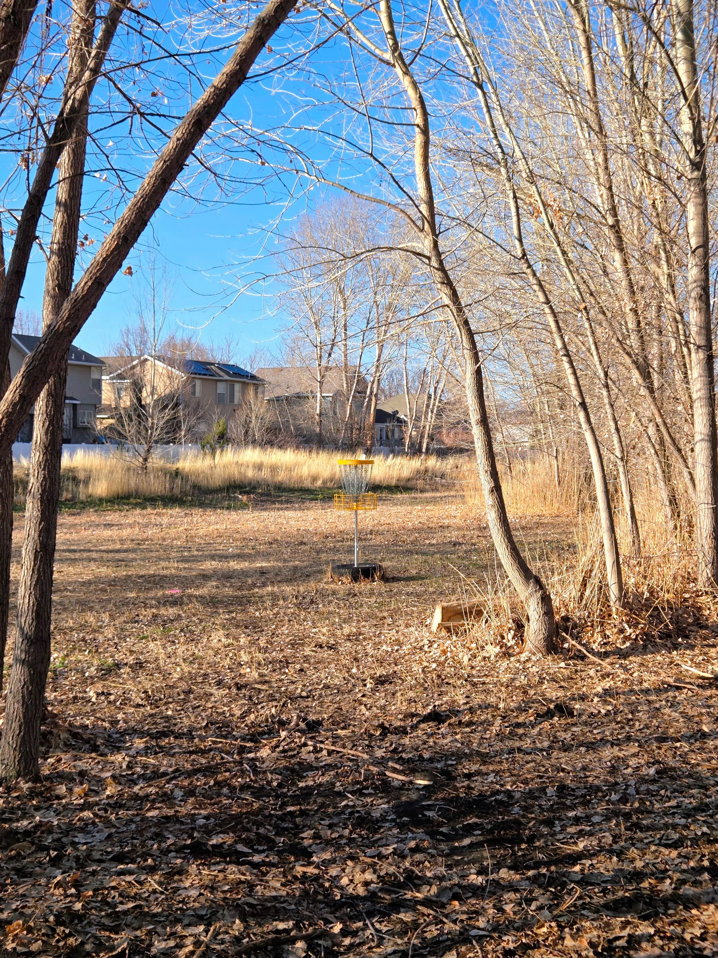 20260115_153352-EDIT.jpg