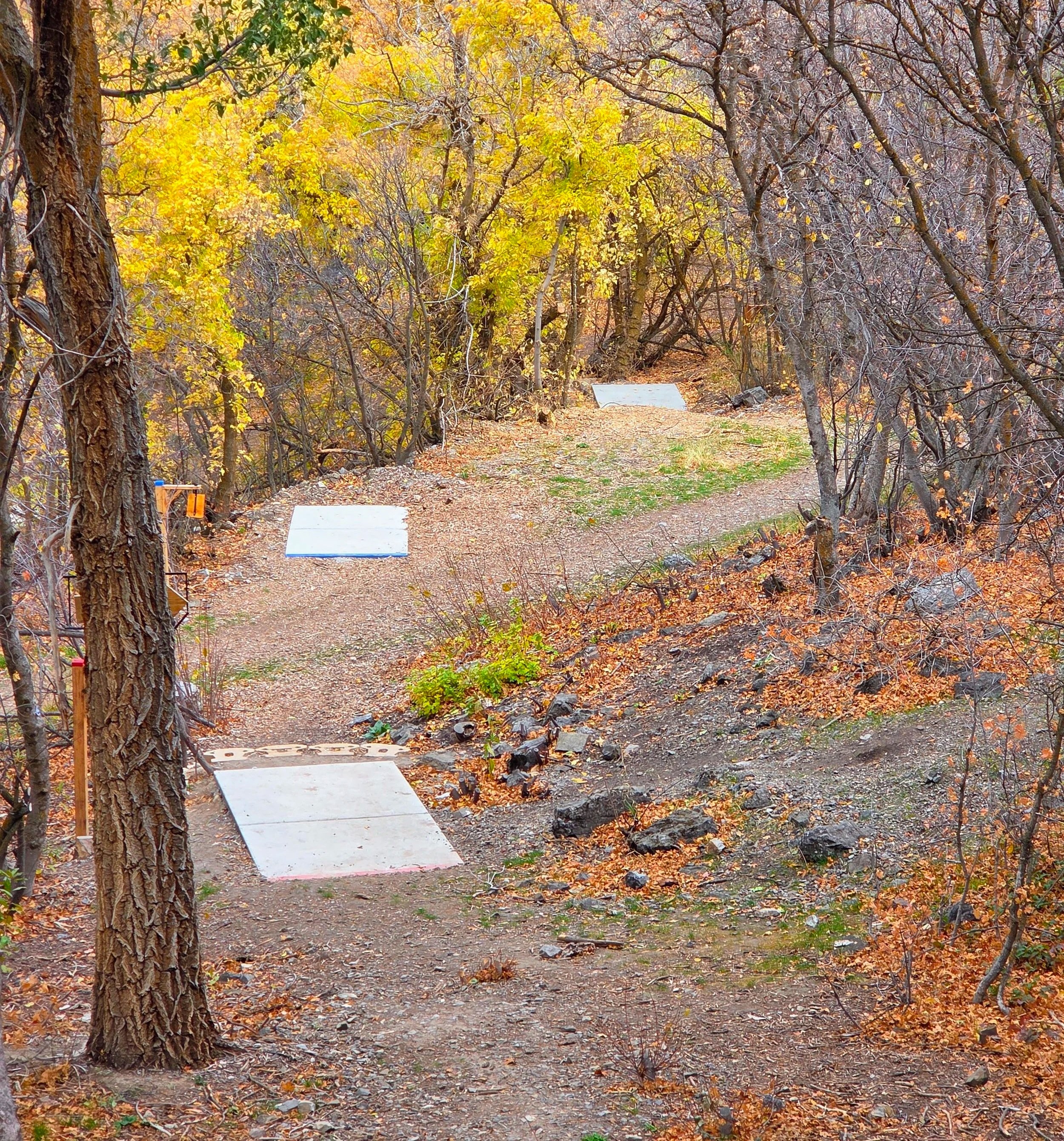 A hiking trail through a forest with trees showing fall colors. There are concrete footings along the trail for a bridge or walkway, and fallen leaves cover the ground.