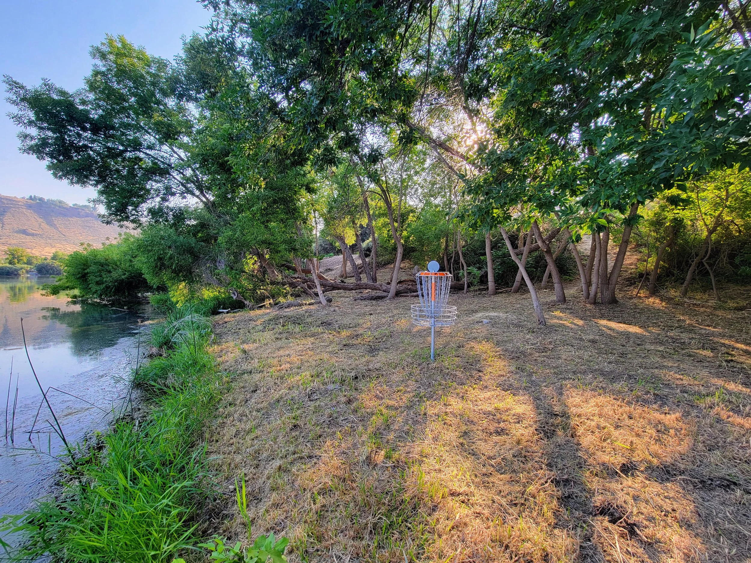 A riverside scene with trees, bushes, and a small basketball hoop on the riverbank. The sun is shining through the leaves, and the water reflects the landscape.