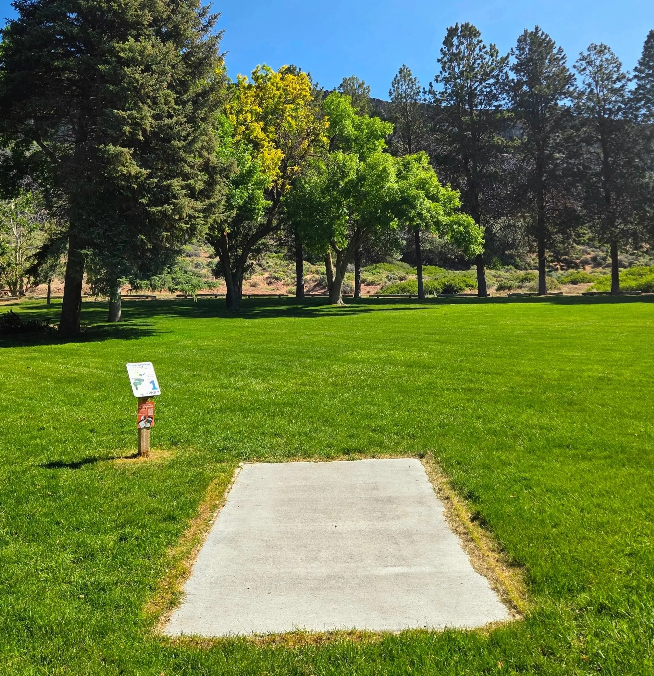 A park trail with a concrete path cutting through a grassy area lined with trees, under a clear blue sky.