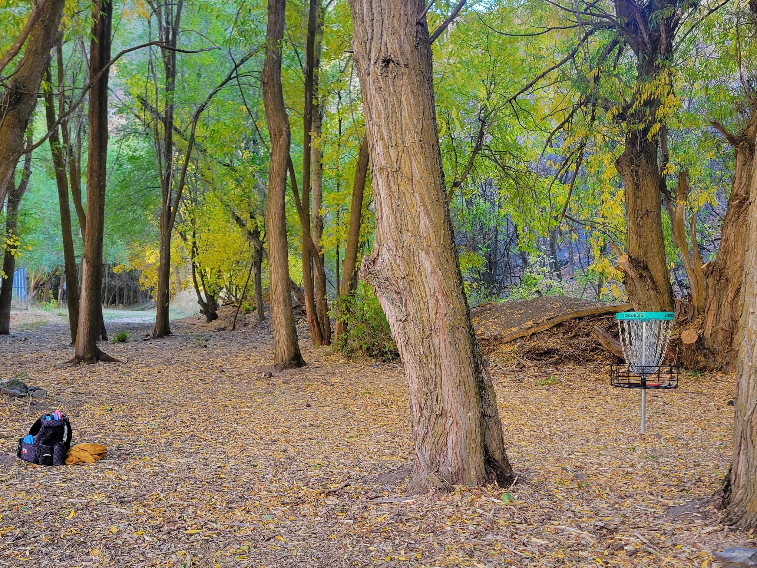 A wooded outdoor area with tall trees and fallen leaves on the ground. There is a disc golf basket on the right side and a backpack with shoes and other items on the left side.
