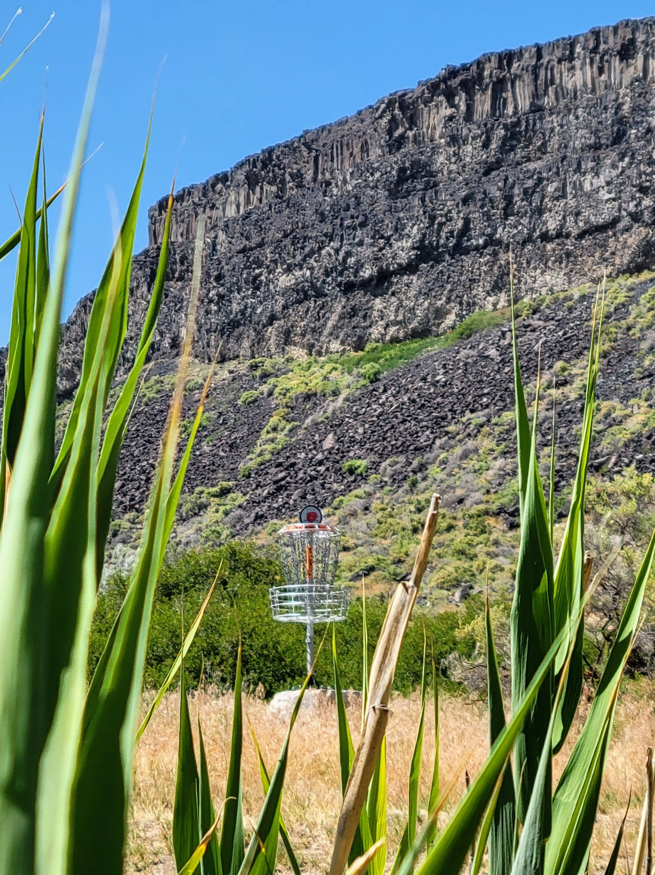 Photo of a disc golf basket on a grassy field with tall green grasses in the foreground, a rocky mountain in the background, and a clear blue sky.