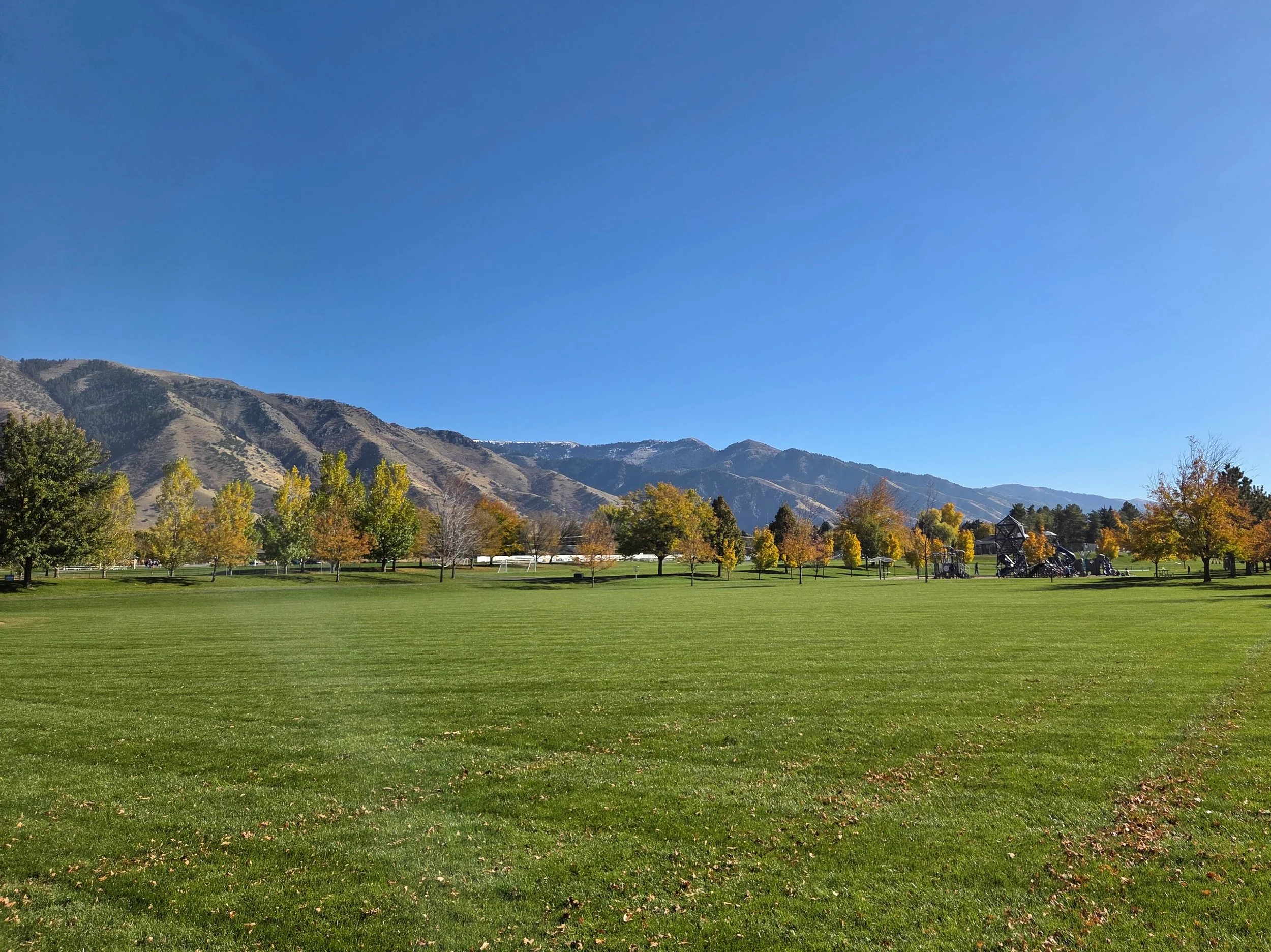 20251024_151036 (1).jpg