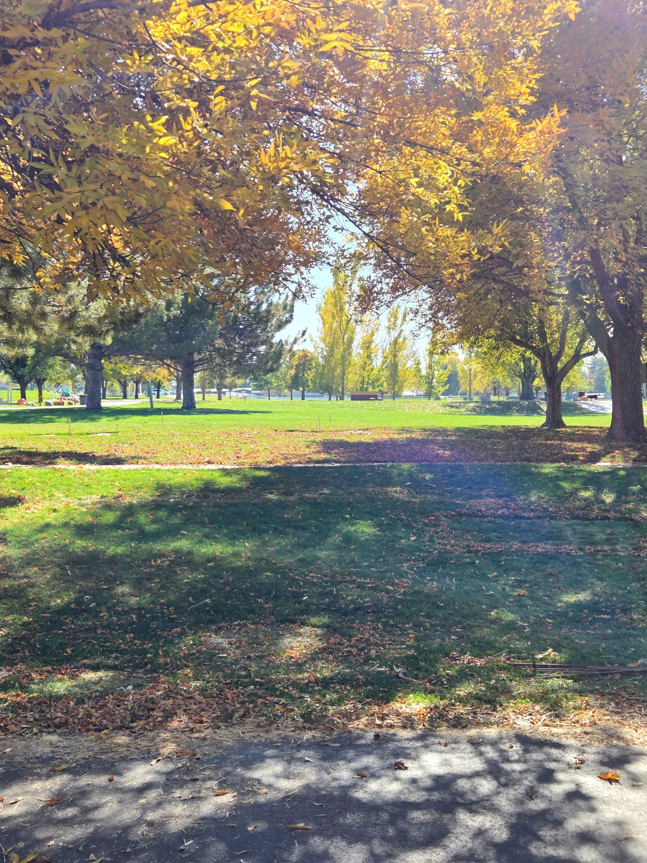 A park with tall trees with yellow and green leaves, green grass, pathways, benches, and a few people in the background enjoying the autumn day.