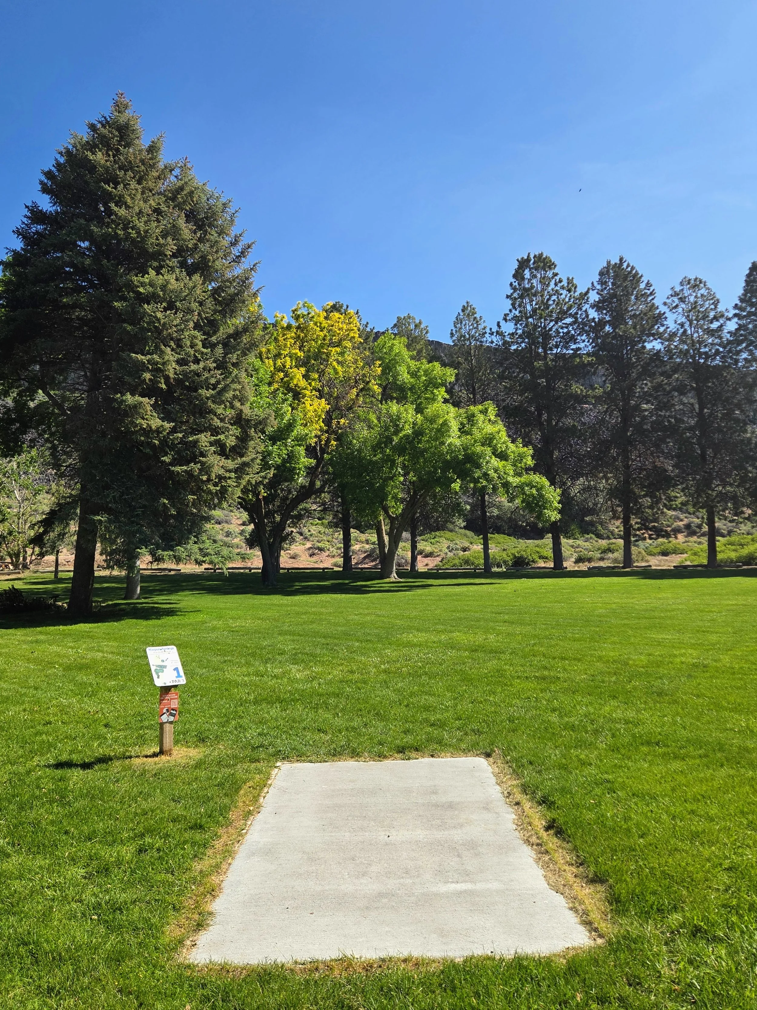 A well-maintained pathway leading into a grassy park with several large trees under a clear blue sky.