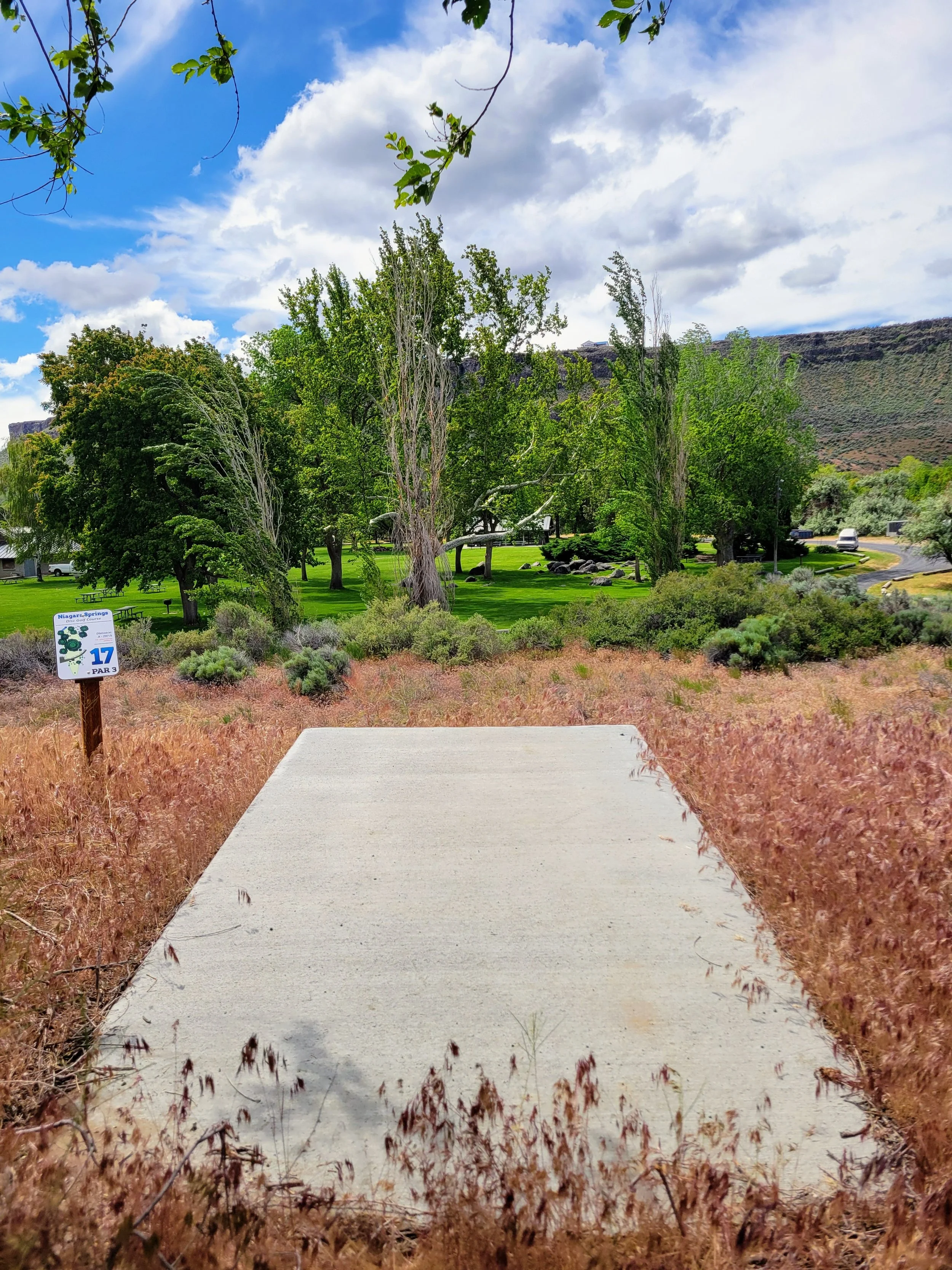 A concrete pathway running through a grassy area with tall, dry grass on both sides. In the background, there are green trees and a sign that reads "Niagara Springs Disc Golf Course" with the hole number 17. The sky is partly cloudy with a mix of blu