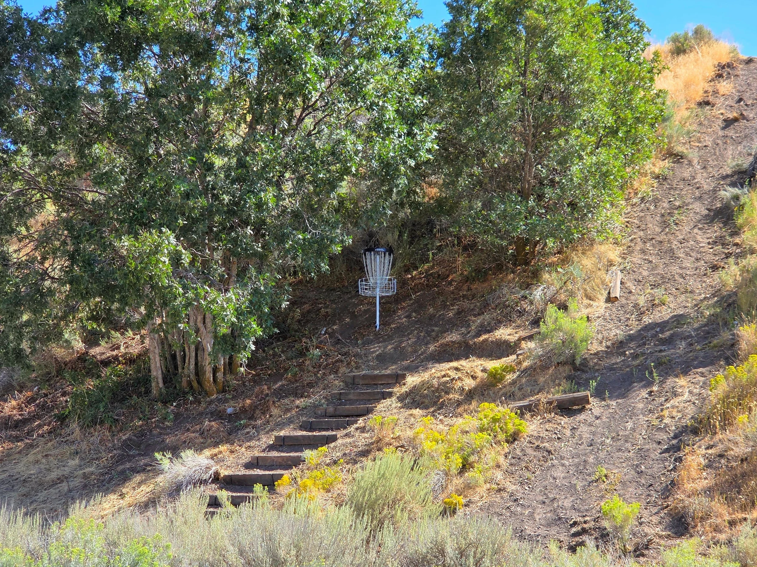 A dirt staircase with wooden steps ascending through a sunny, hilly landscape with bushes, plants, and trees, leading to a disc golf basket at the top.