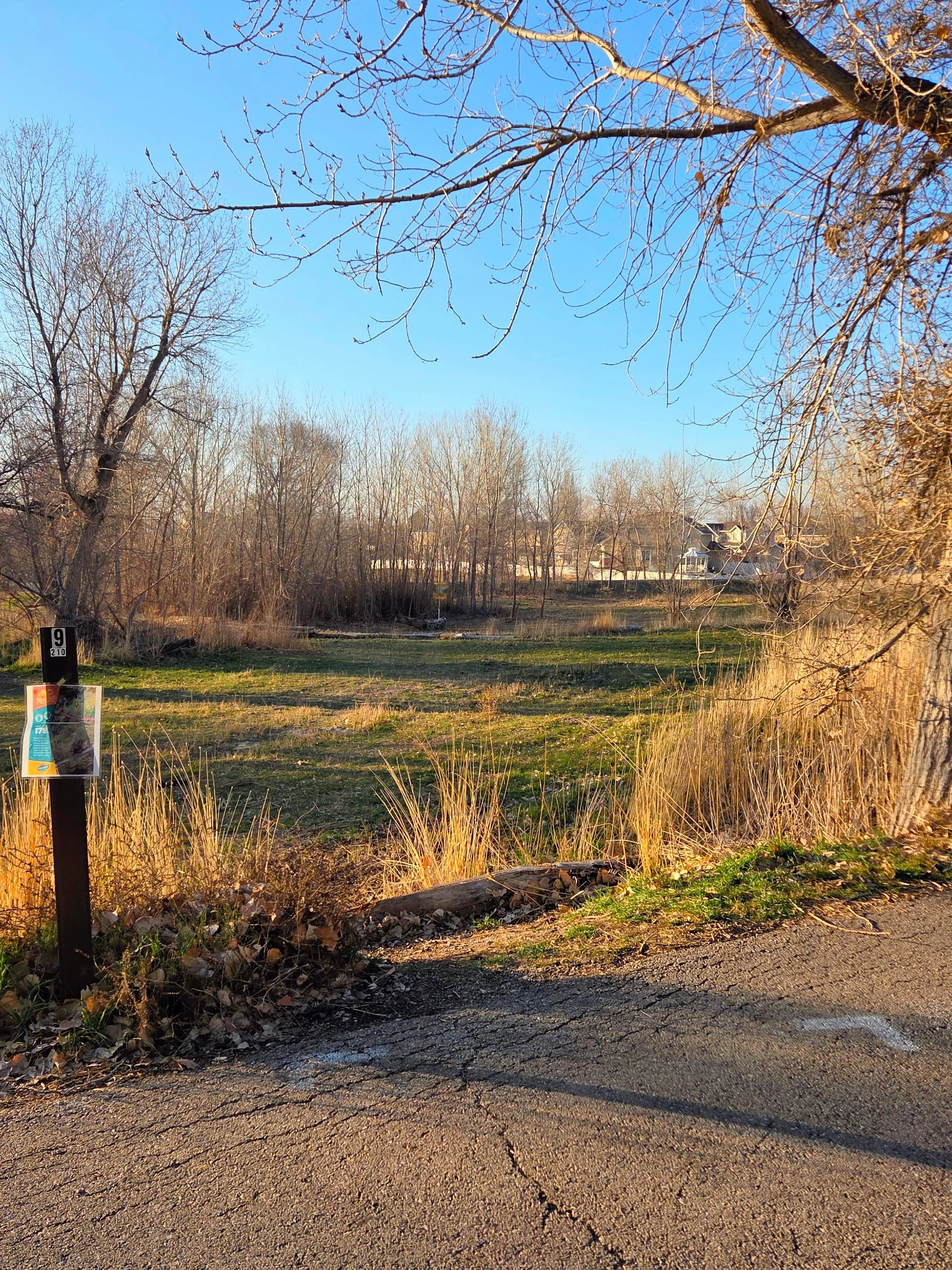 A park landscape with leafless trees, dry grass, a narrow dirt path, and a blue sky. There is a signpost with a trail marker and a colorful trail map.