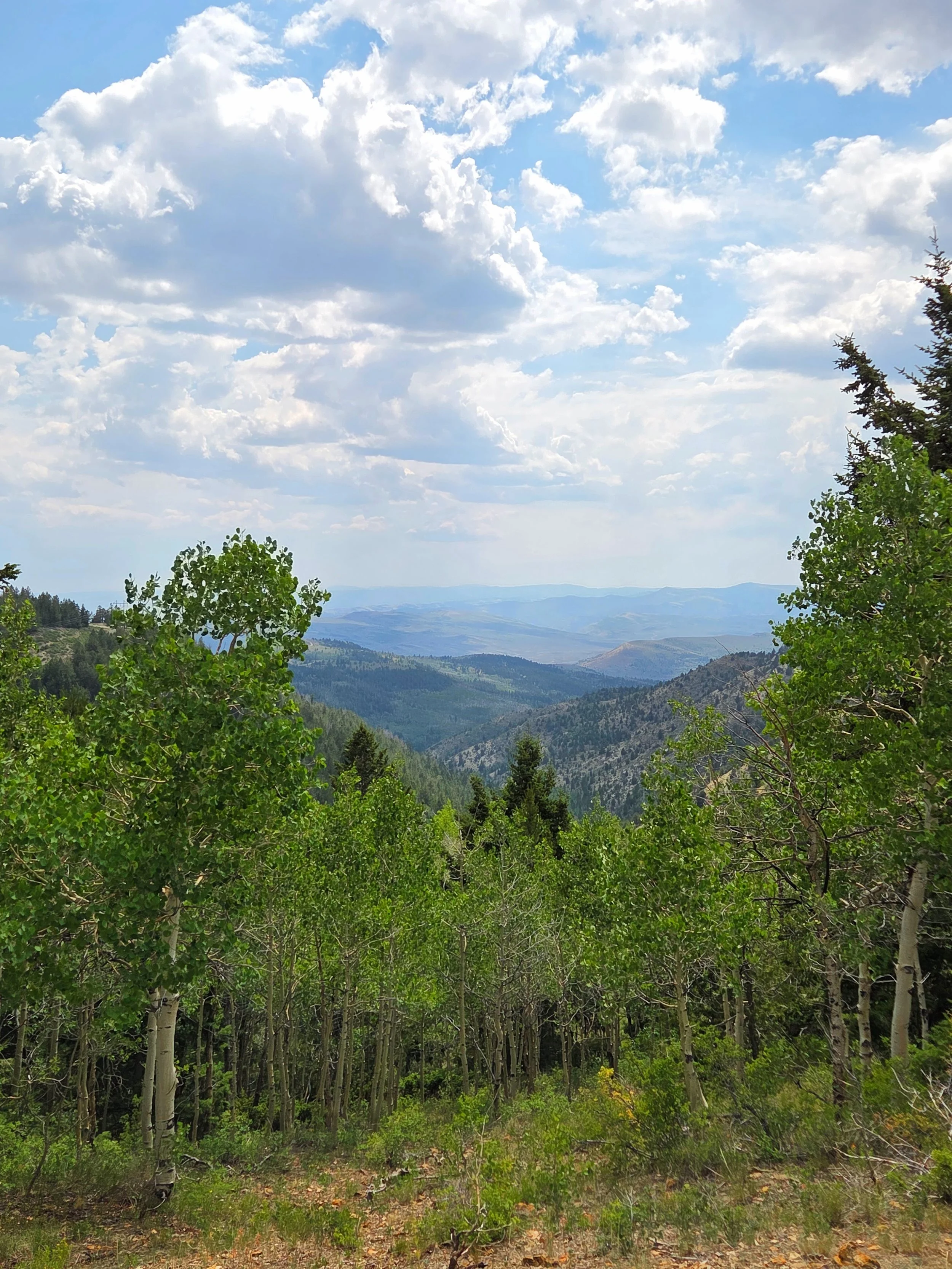 A scenic mountain landscape with a blue sky and fluffy white clouds, green trees in the foreground, rolling hills and mountains in the distance.