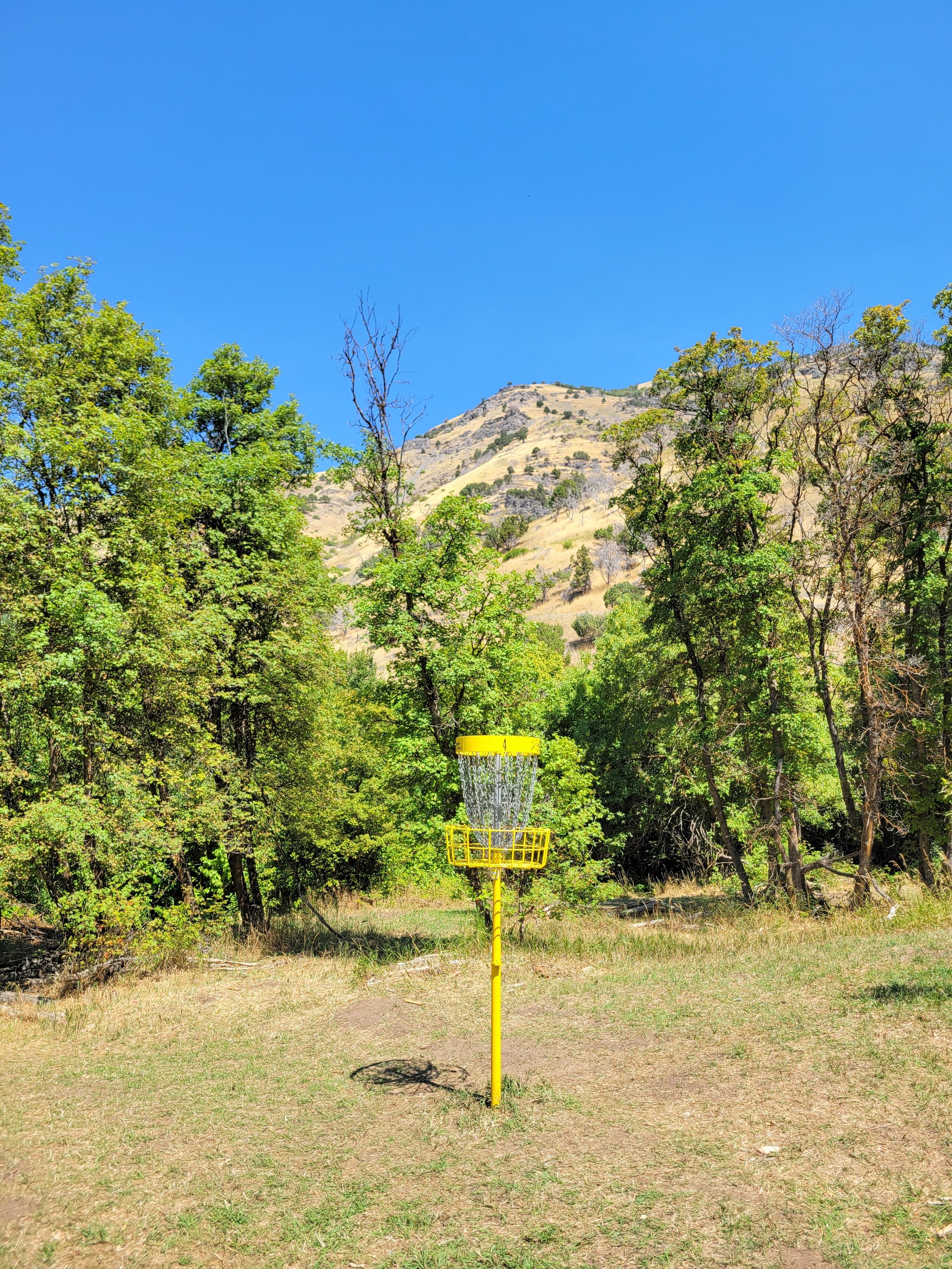 A yellow disc golf basket standing on a grassy field with trees and a hill in the background, under a clear blue sky.