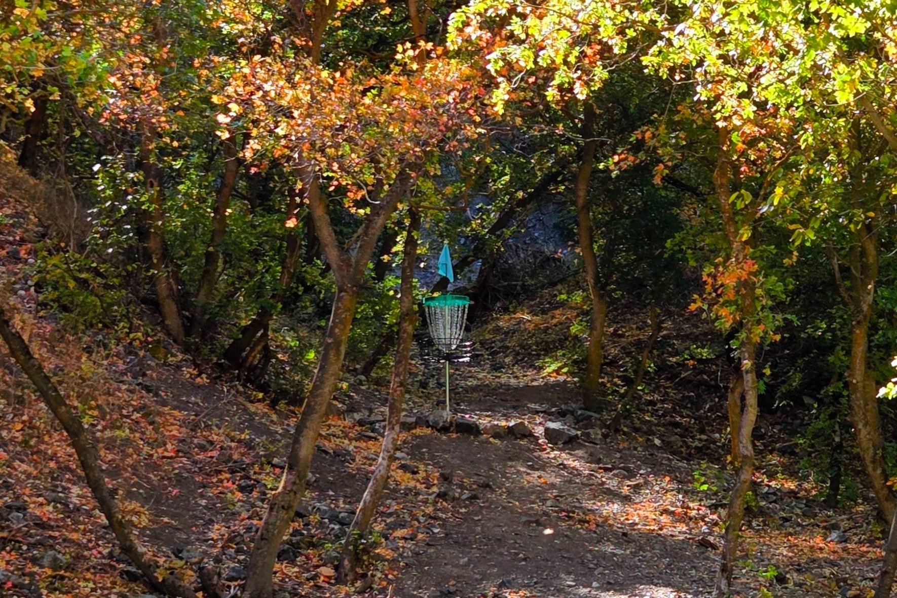 A trail in a wooded area during fall with trees showing colorful leaves. A disc golf basket is visible in the distance, surrounded by trees and fallen leaves on the ground.