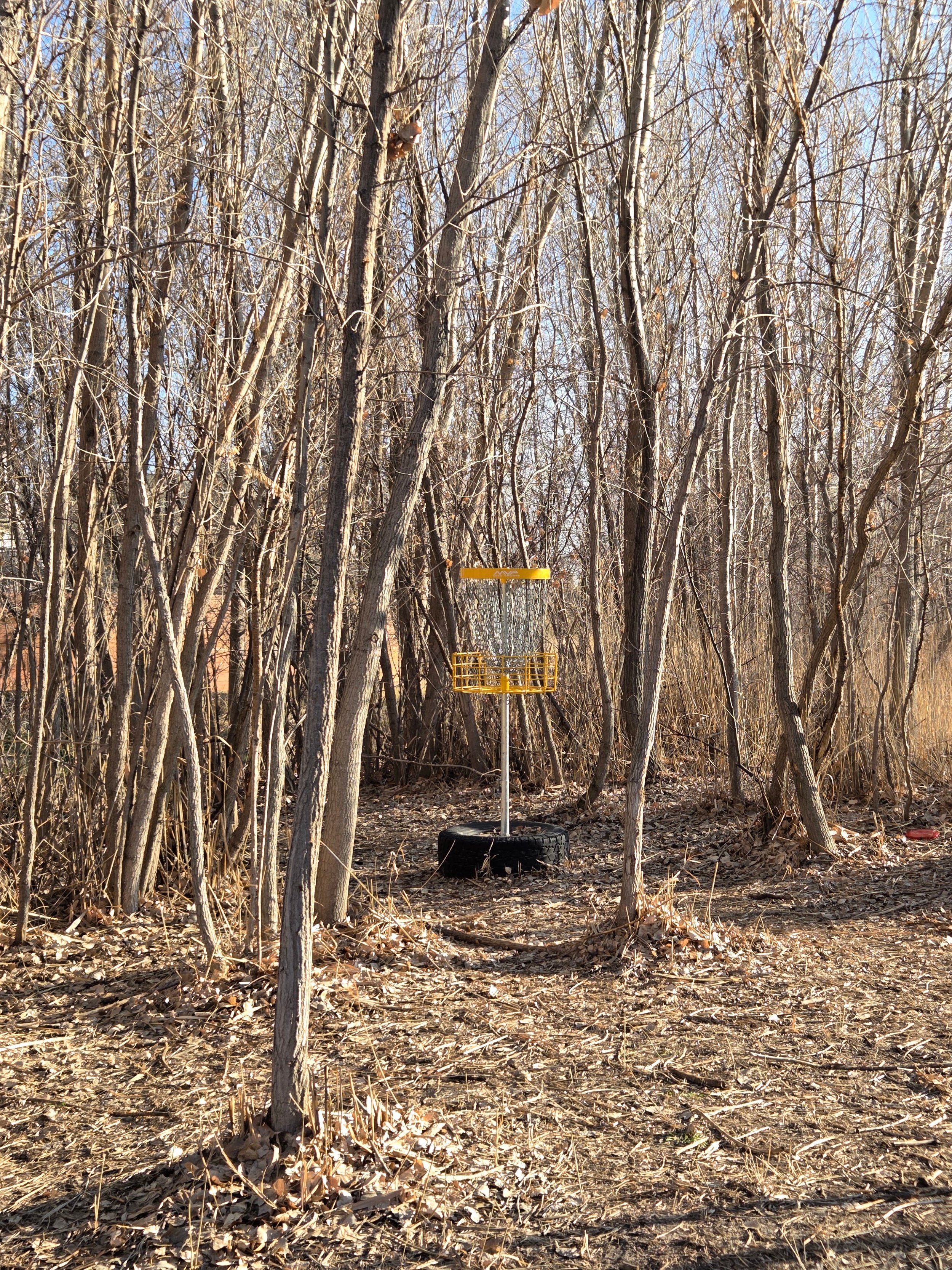 20260115_154257-EDIT.jpg