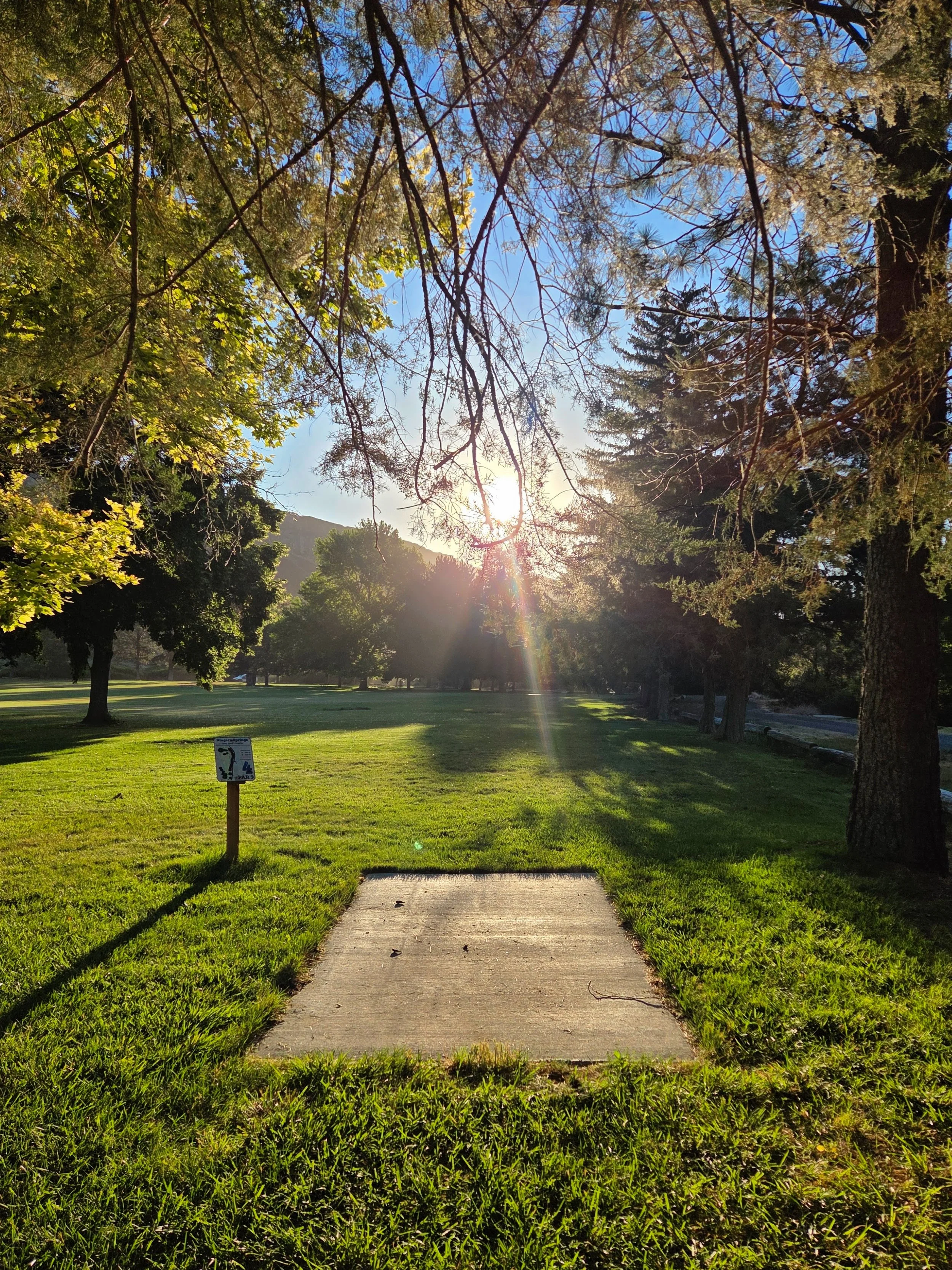 A sunlit park with a sidewalk leading through green grass and tall trees on either side. The sun shines through the branches, creating lens flare and long shadows. A small sign is visible near the start of the walkway.