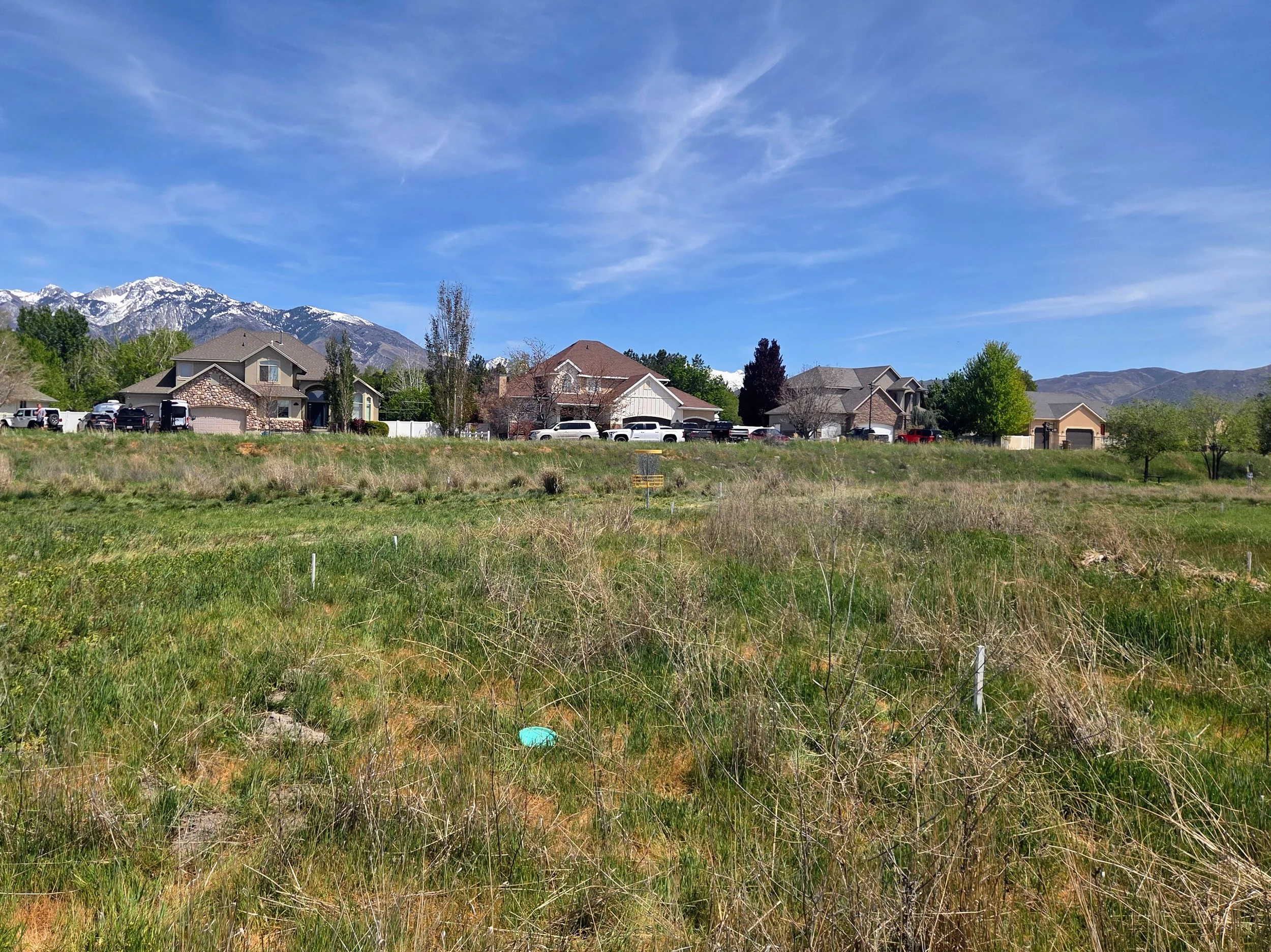 Residential neighborhood with houses, parked cars, green lawns, and a backdrop of mountains with snow and a blue sky with wispy clouds.
