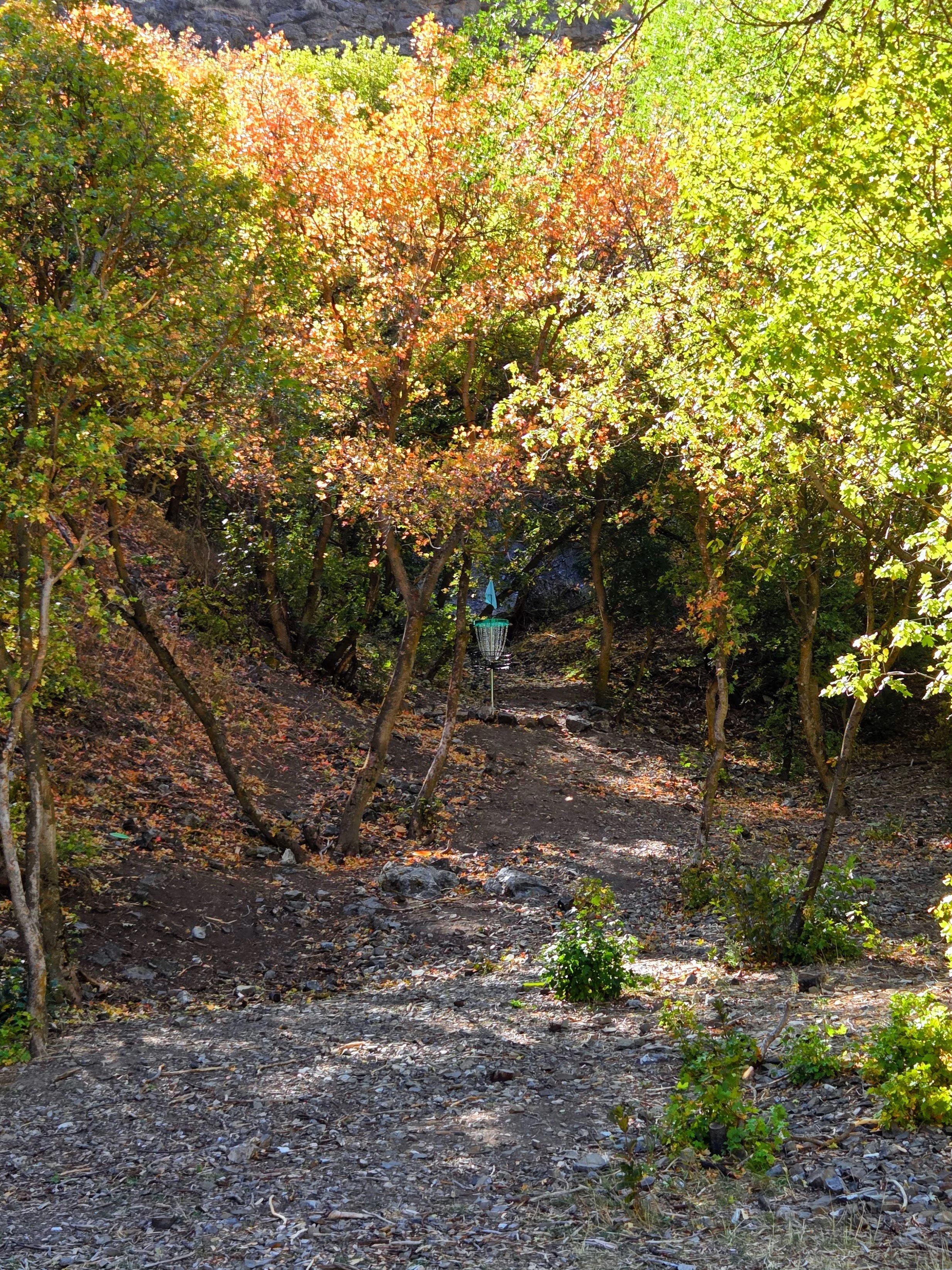 20250925_153635-EDIT.jpg
