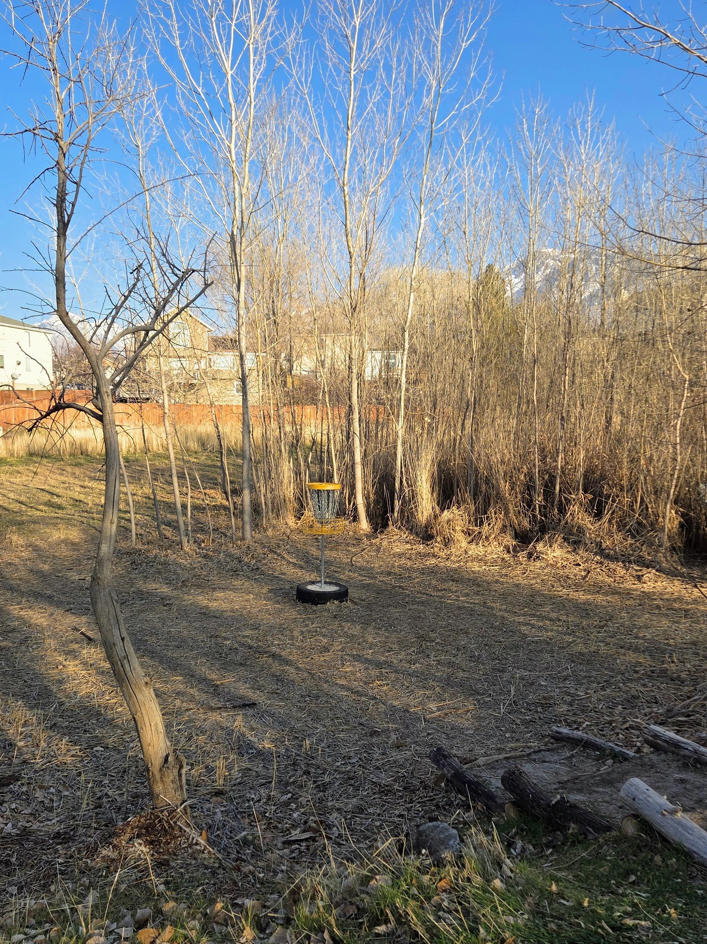 A backyard with leafless trees and dry grass, a bird feeder on a tire stand, residential houses in the background, and mountains in the distance under a blue sky.
