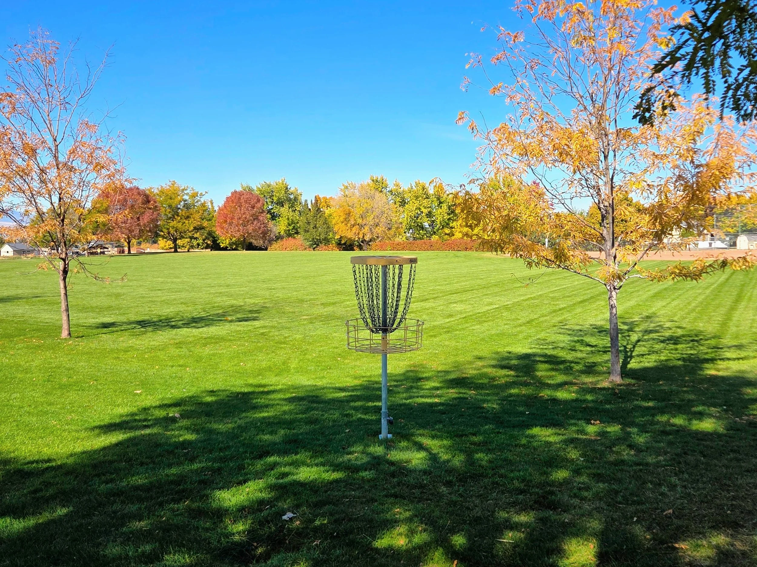 A frisbee golf basket on a grassy field surrounded by autumn trees with colorful leaves under a clear blue sky.