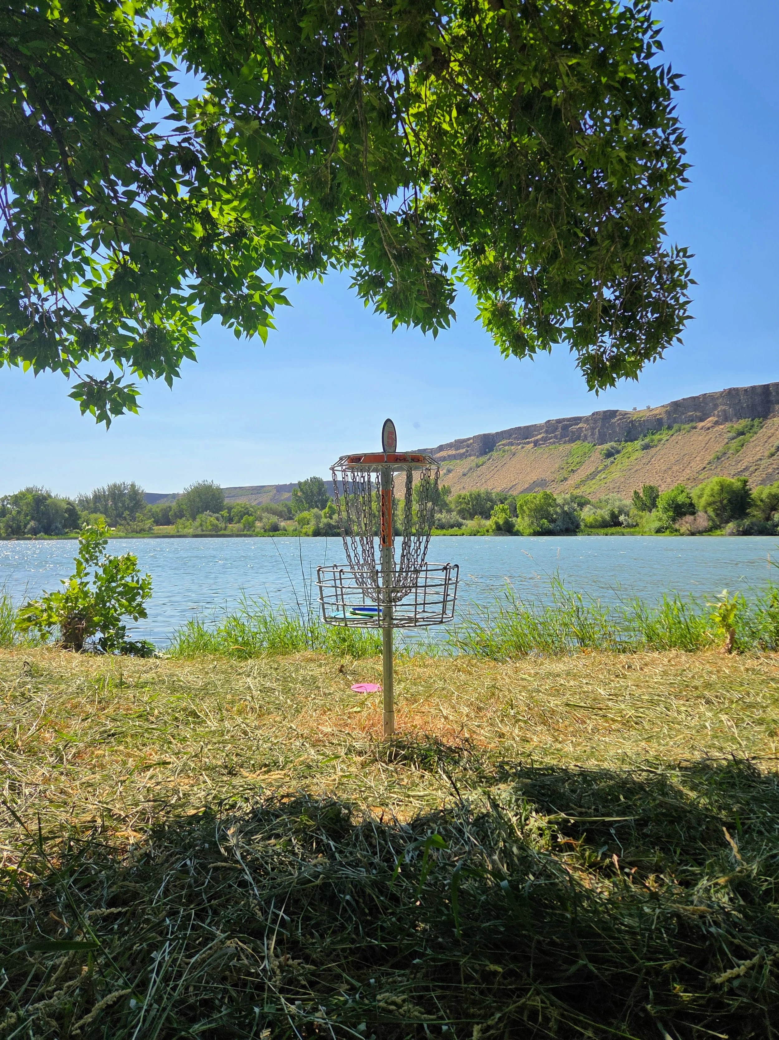 A disc golf basket located by a lakeside, with trees and a hillside in the background under a clear blue sky.