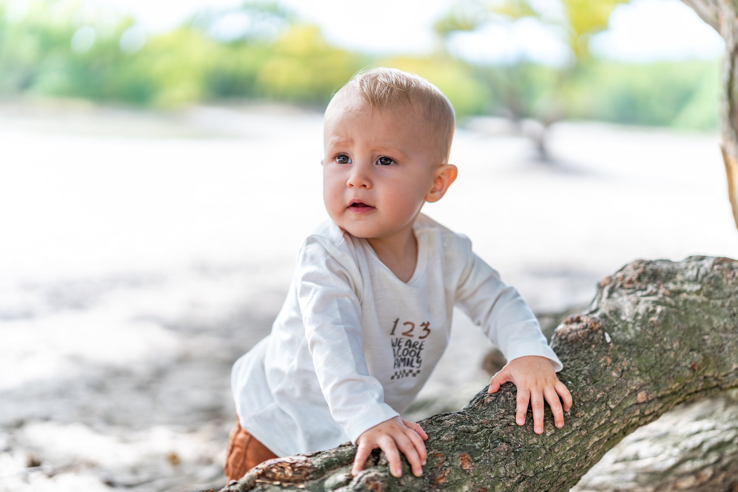 Kleine jongen die op een tak op de grond in een park of bosje klimt, met een nieuwsgierige uitdrukking op zijn gezicht.