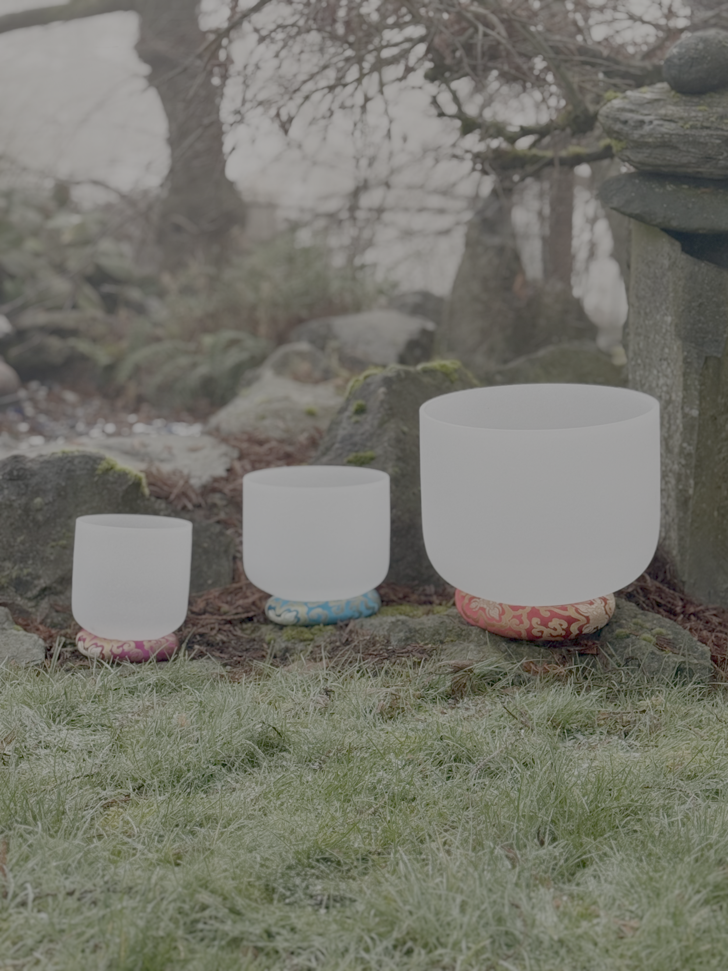 Group or Special Event Sound Immersion - 60 to 90 Minutes