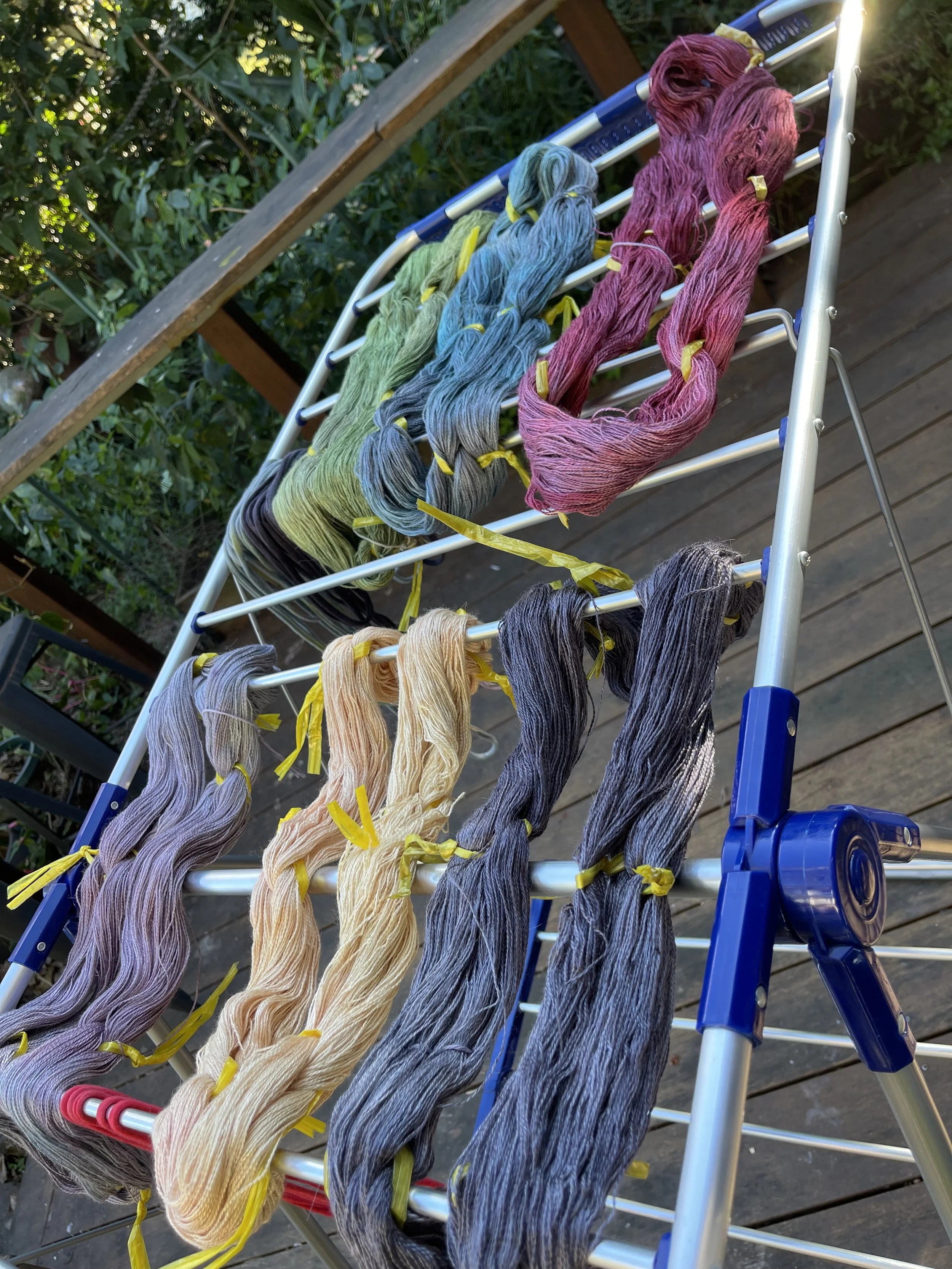 IMG_5557.jpeg