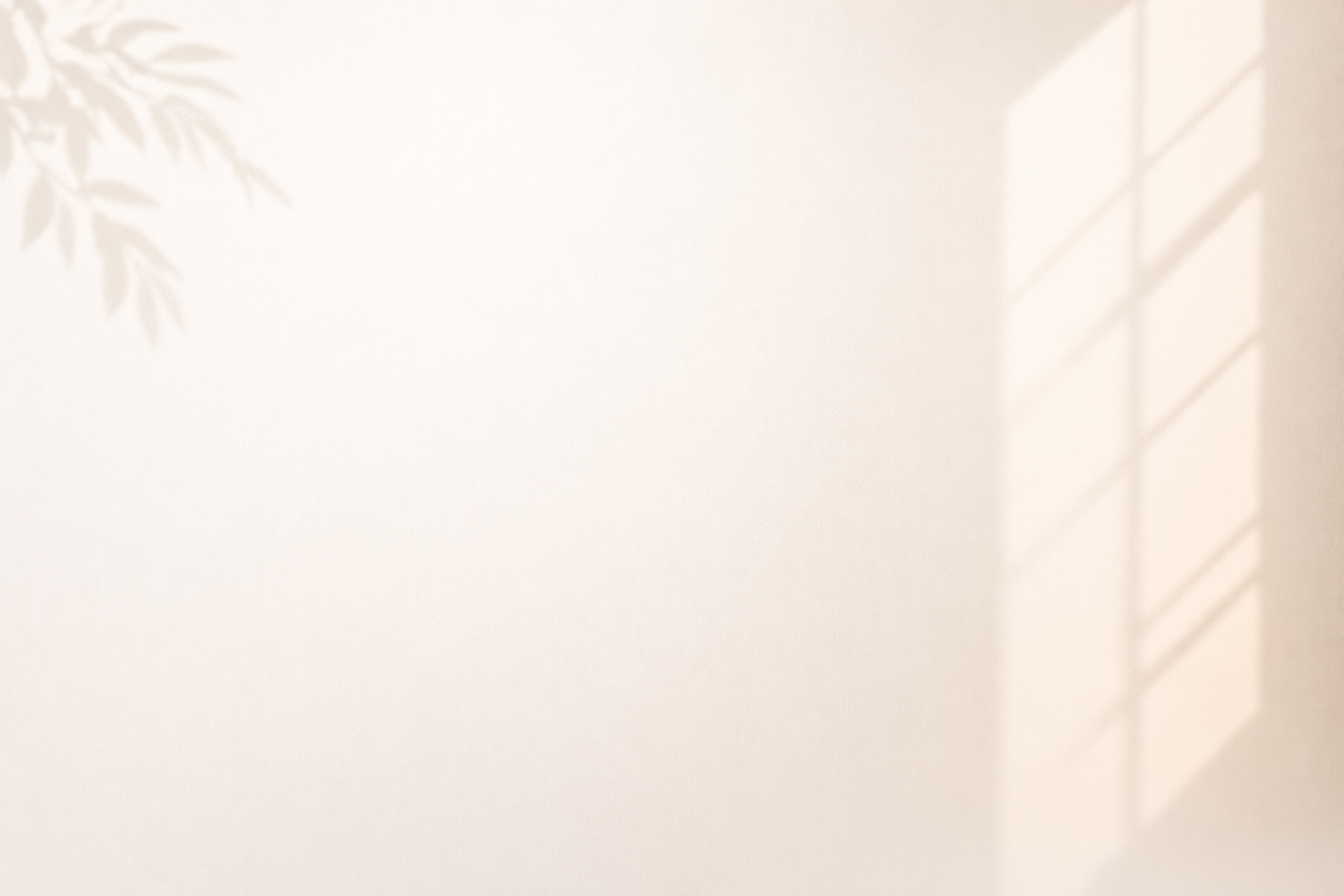 Sunlight casting shadows of window blinds and a plant leaf on a white wall.