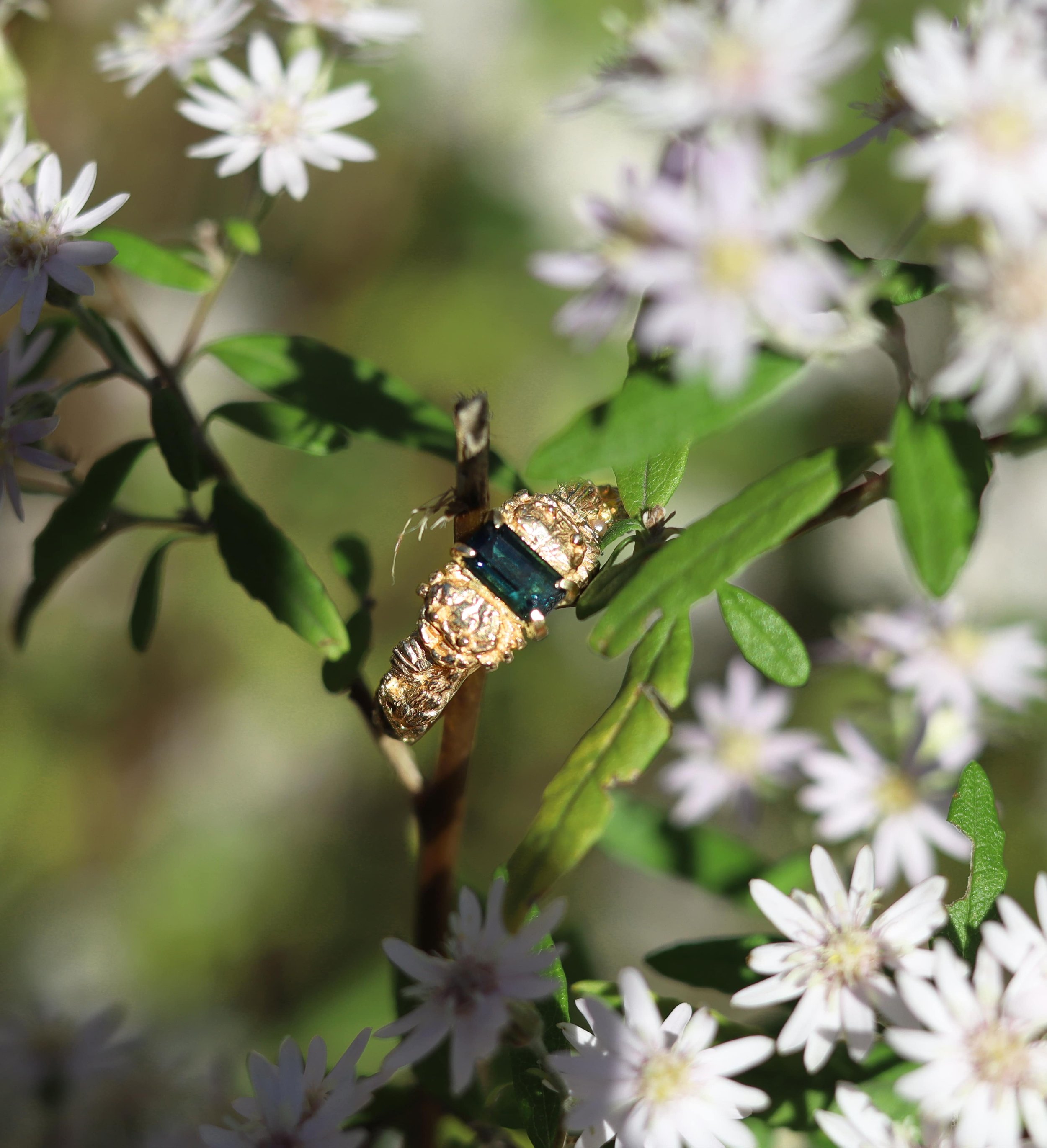 Close-up of a gold ring with a sapphire set in the middle, perched on a green leaf among white flowers.
