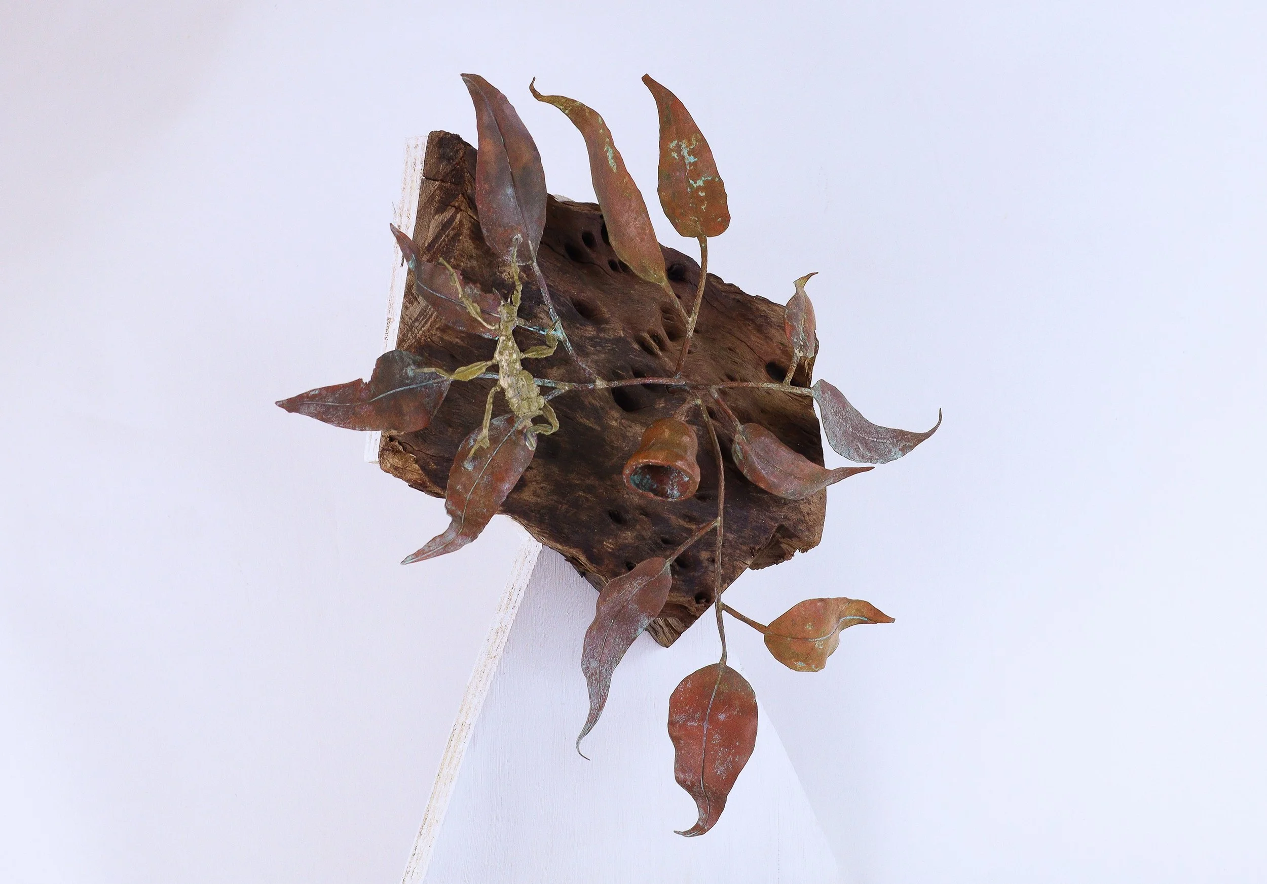 03#_JASPER GOLDNEY_PETUNIA_2025_PHOTO BY JASPER GOLDNEY.jpg