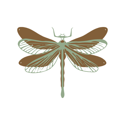 The Compassionate Rewilding logo: a stylized illustration of a dragonfly with detailed wings and a segmented body.