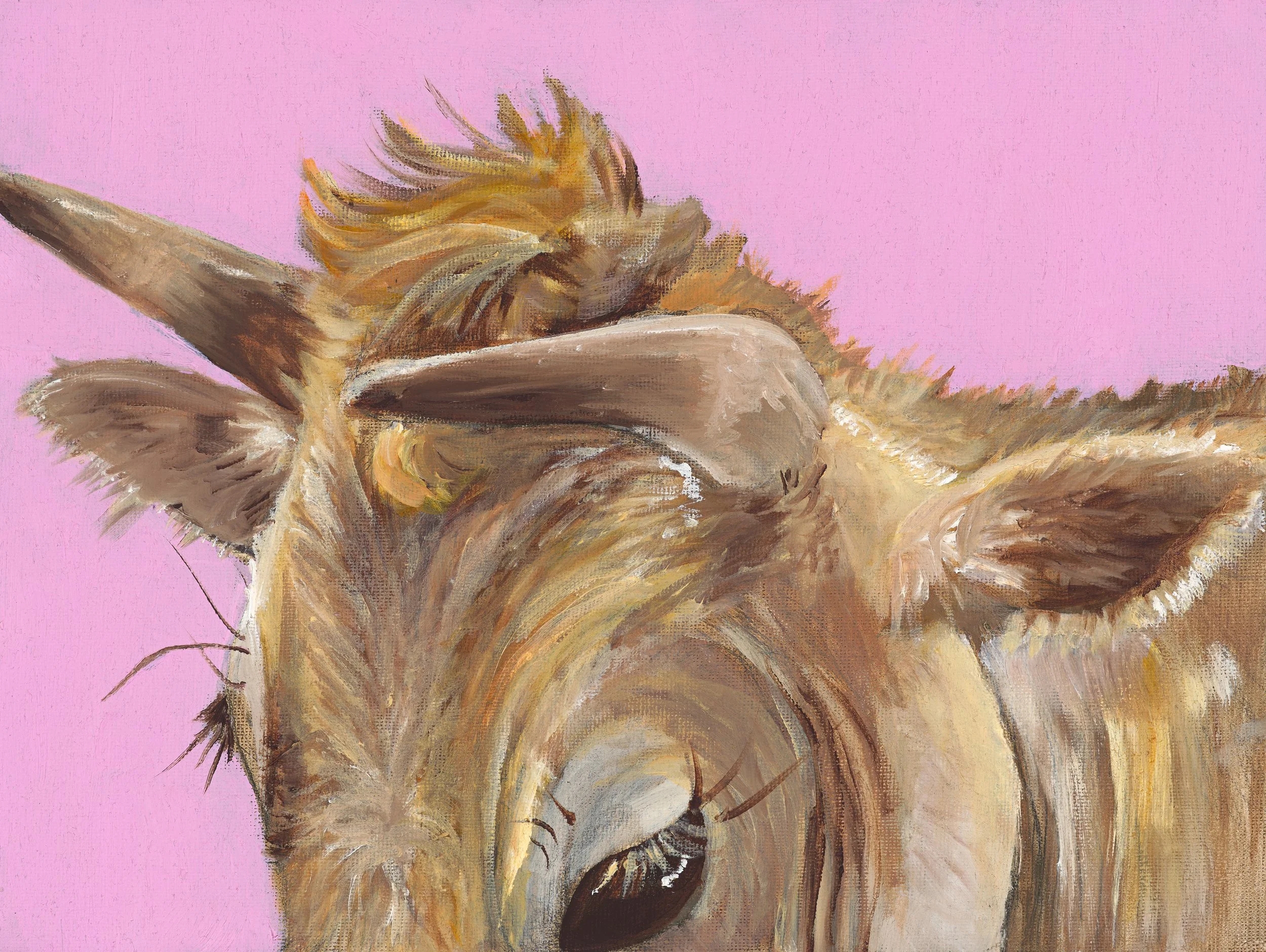 Jenny Valentine Medium.jpg