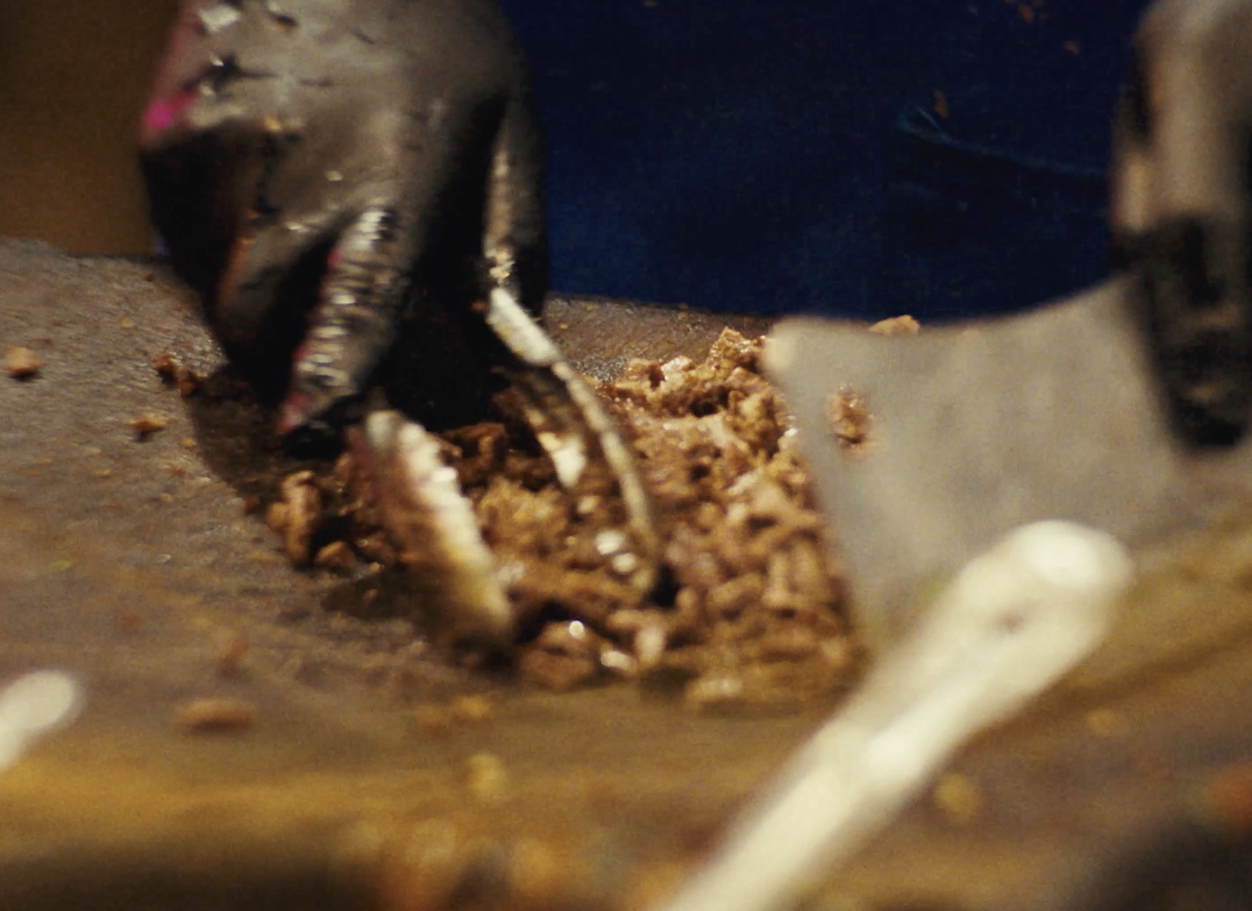 Screenshot 2026-02-16 at 20.03.55.png