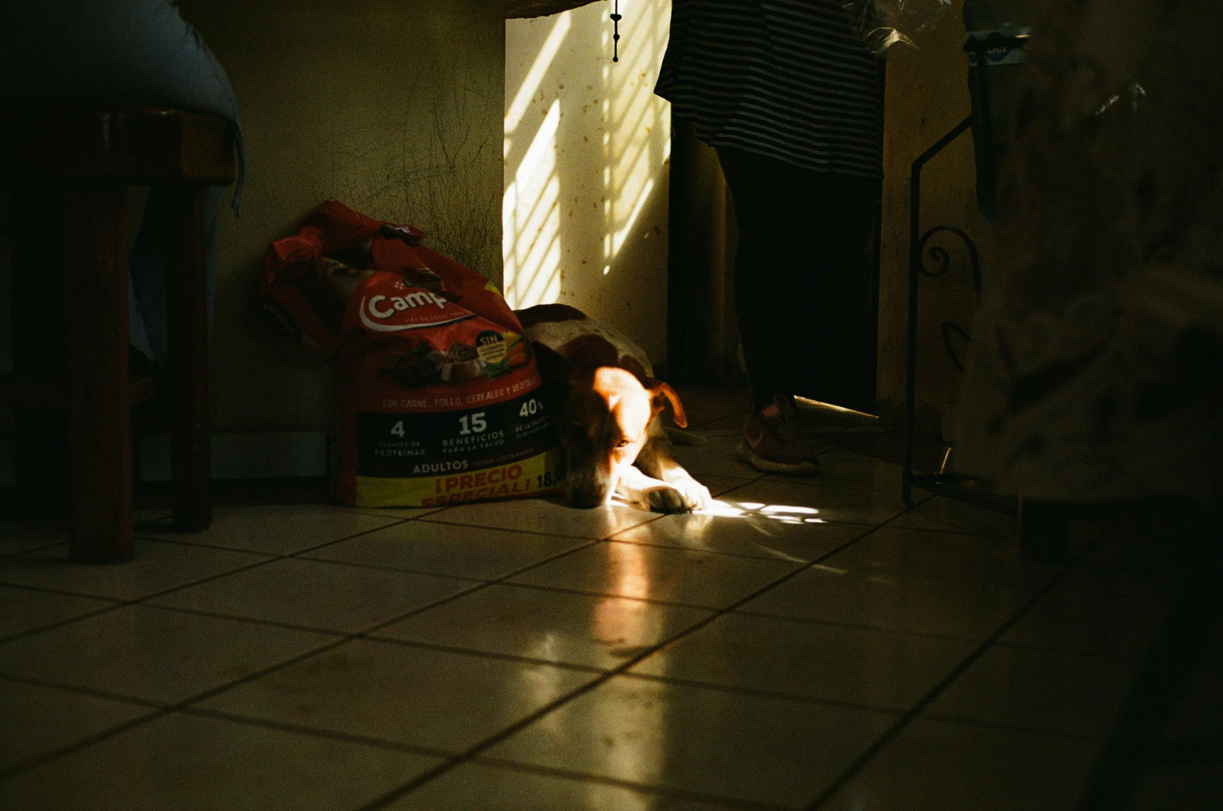 Merch Pink & Orange hoodies-56.jpeg