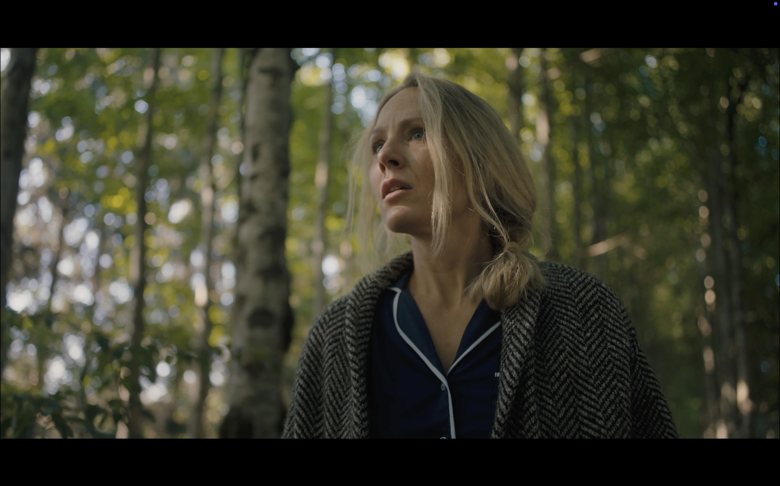 Screenshot 2026-02-16 at 21.00.10.png