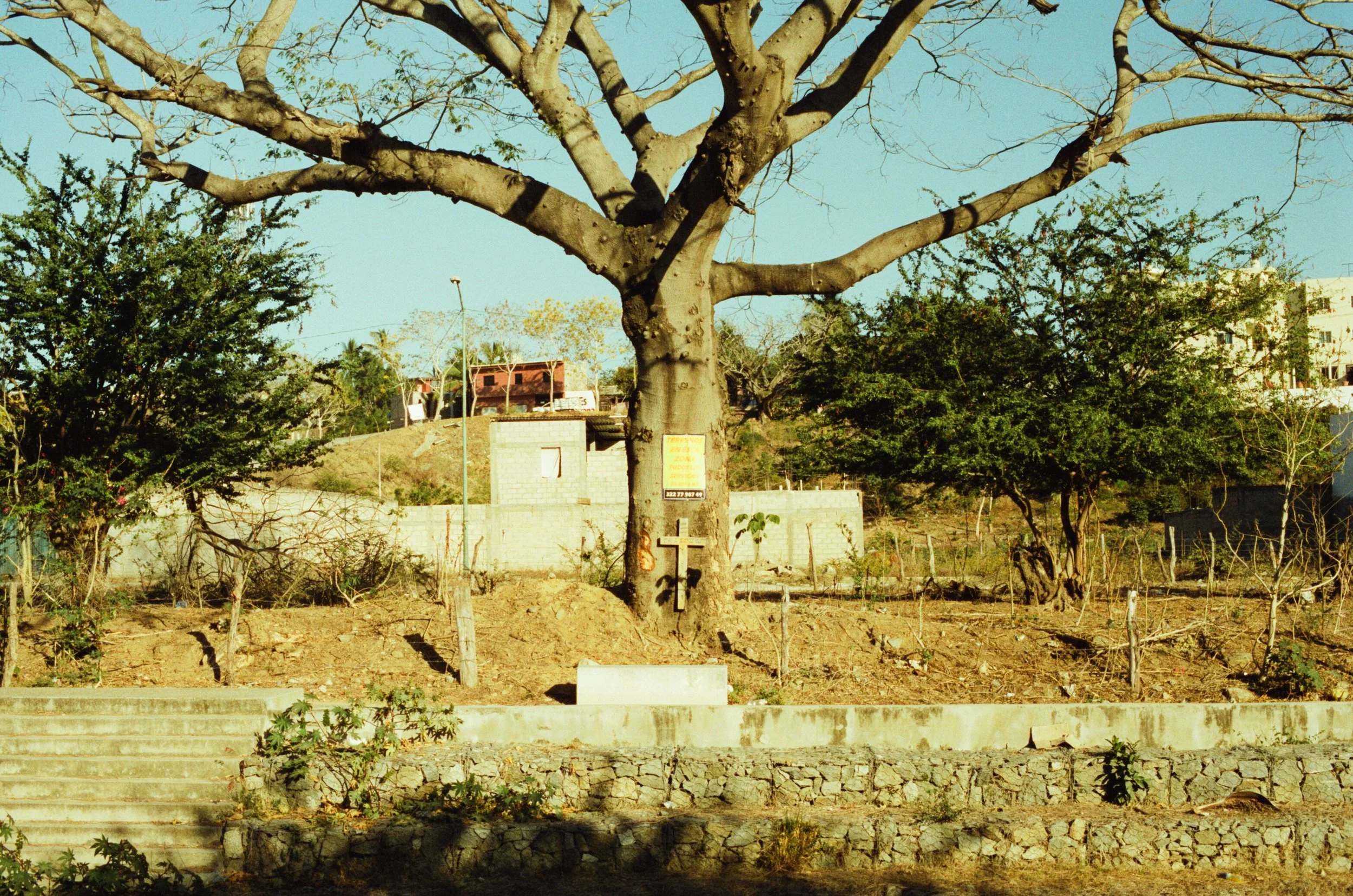 Merch Pink & Orange hoodies-22.jpeg