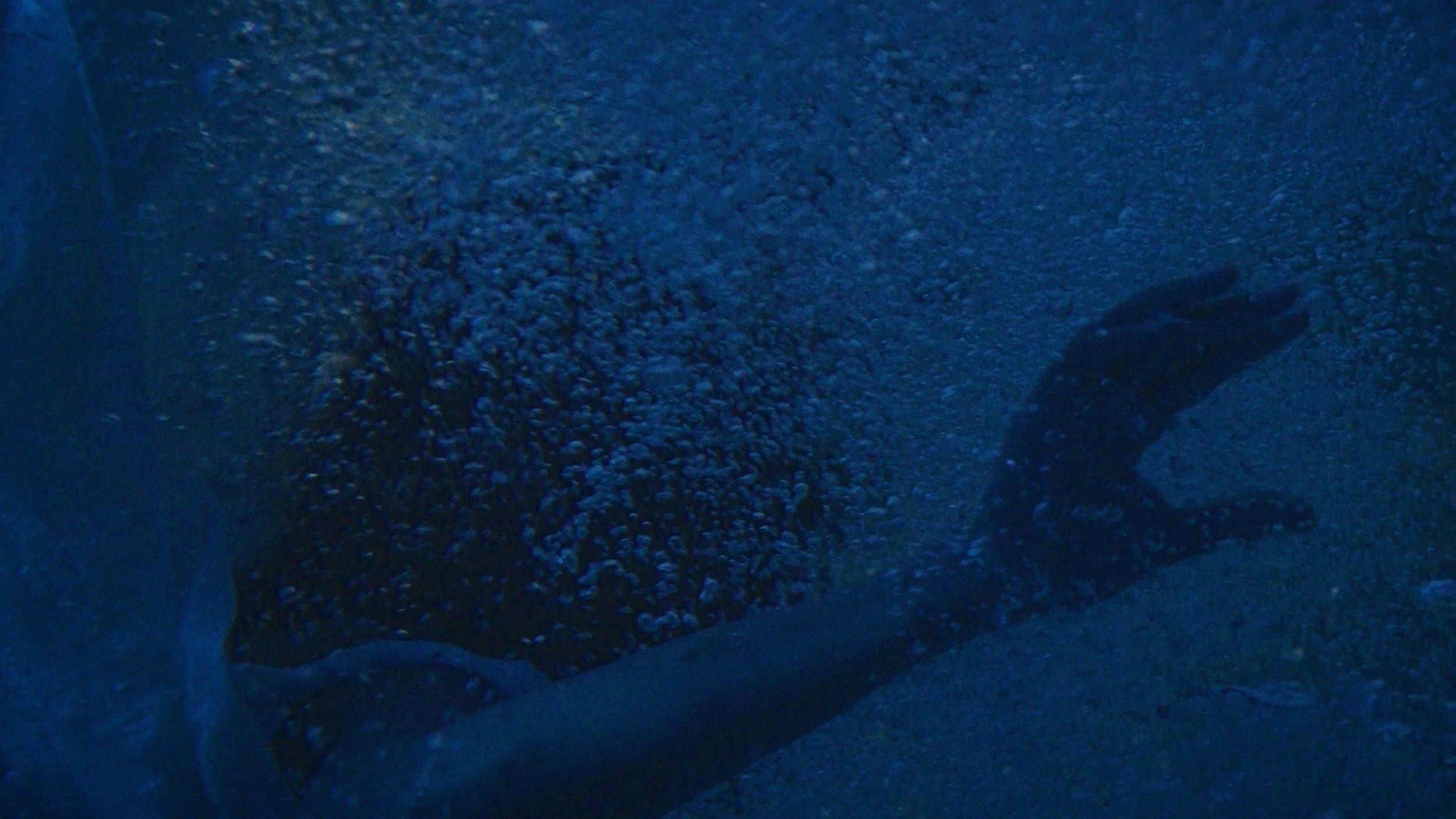 Still 2024-12-08 235358_1.1.1.jpg