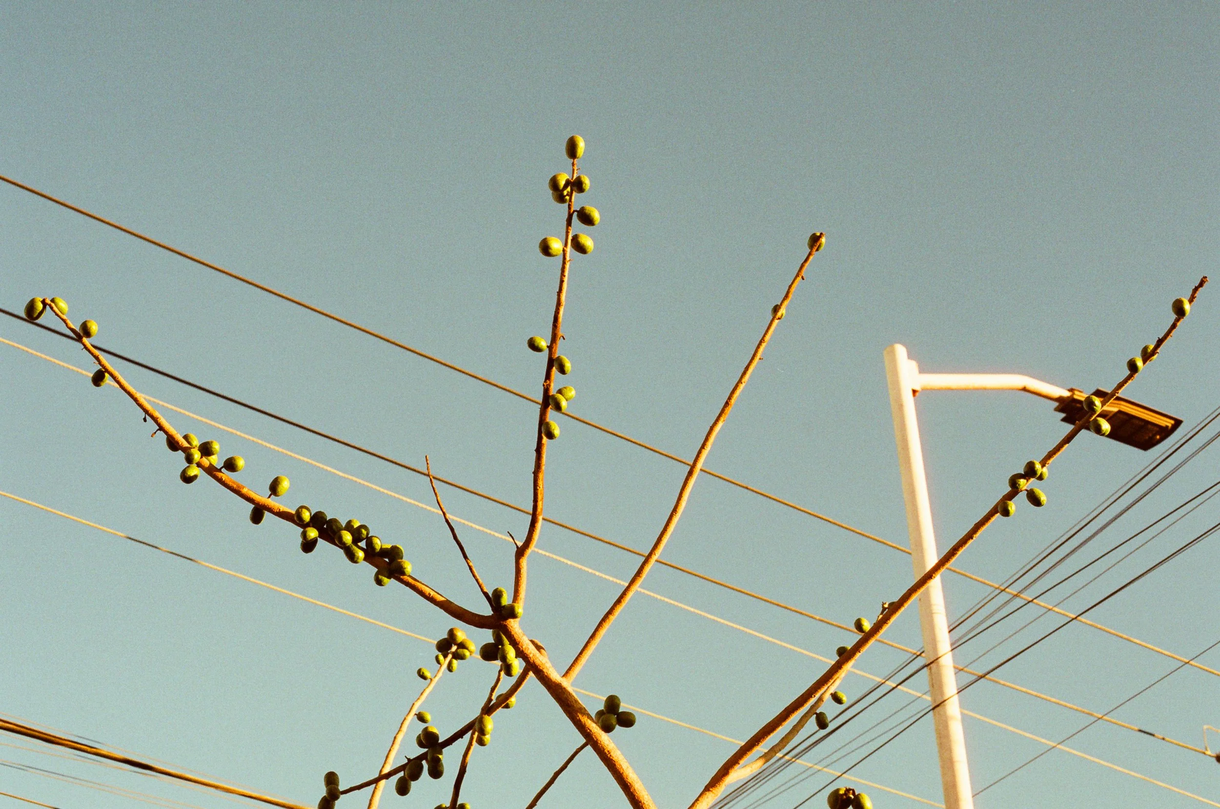 Merch Pink & Orange hoodies-4.jpeg