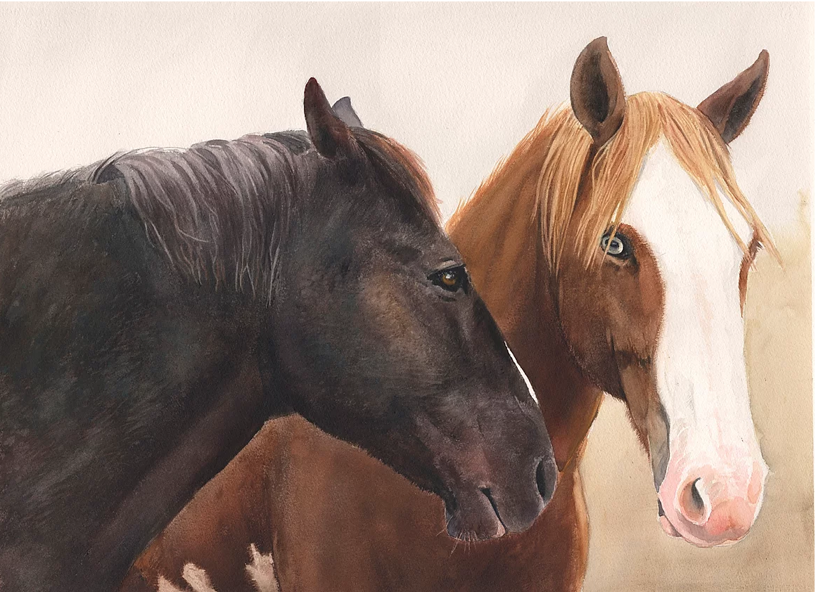 Screen Shot 2020-02-26 at 11.27.17 PM.png